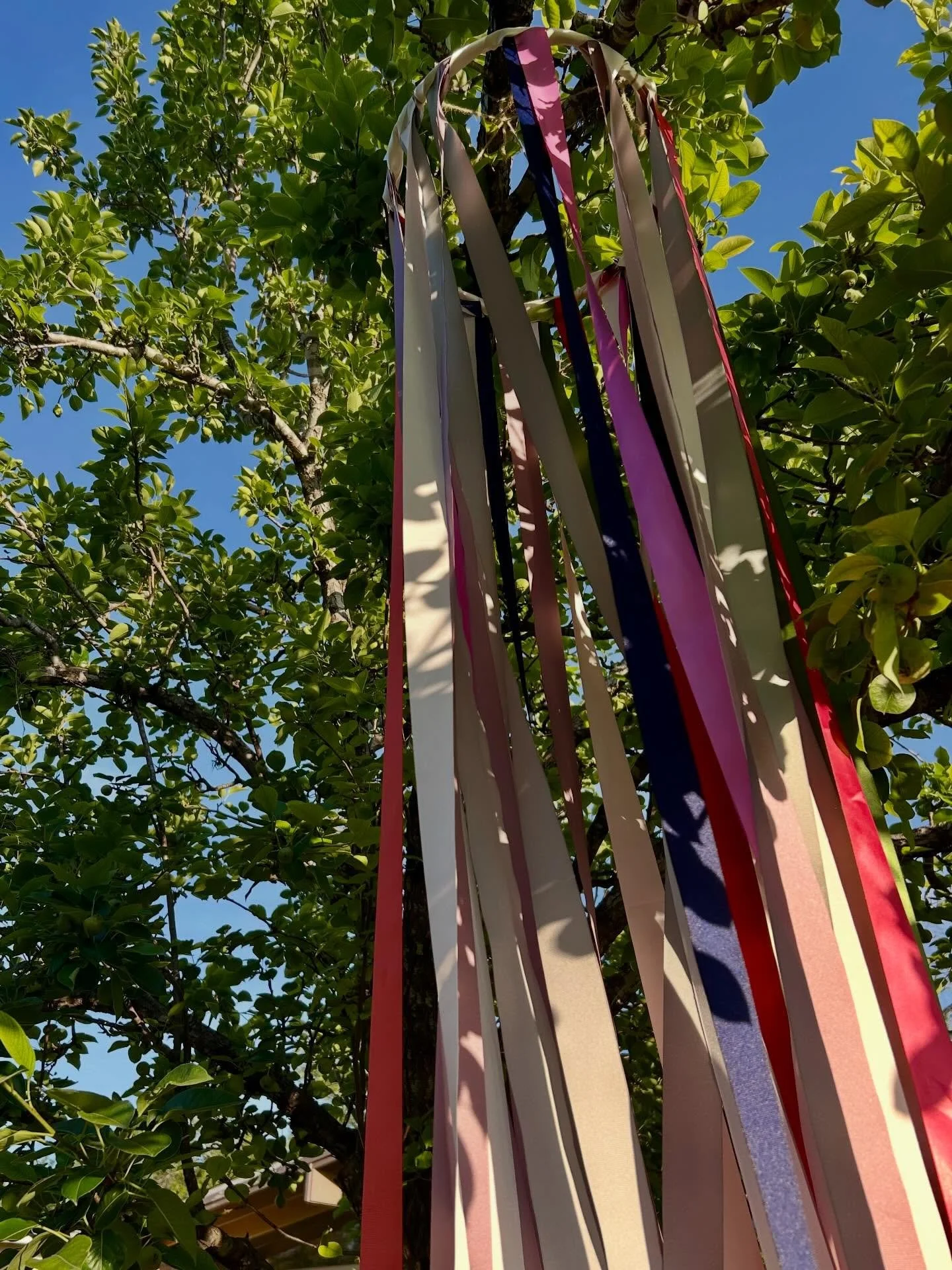 Palm Sunday is one of my favorite Sundays in the church calendar! This day is a protest. 🌿

As we sing and shout, &ldquo;Hosanna,&rdquo; we&rsquo;re crying out to be saved and delivered from our distress. It&rsquo;s a bold cry of hope, implying that