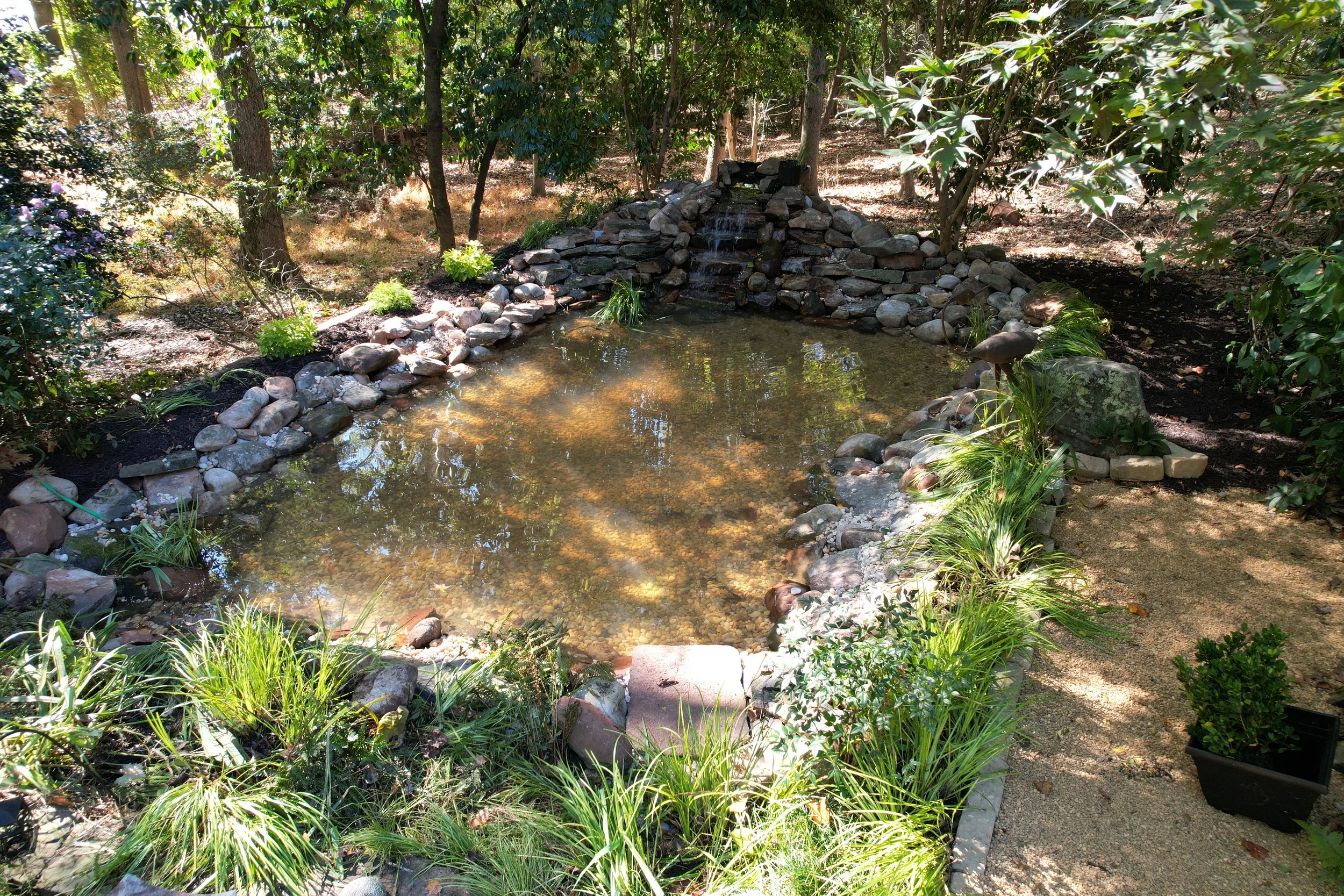 Custom backyard pond with stone surround, waterfall, and aquatic plants installed by Southern Grounds Landscaping in Athens Georgia