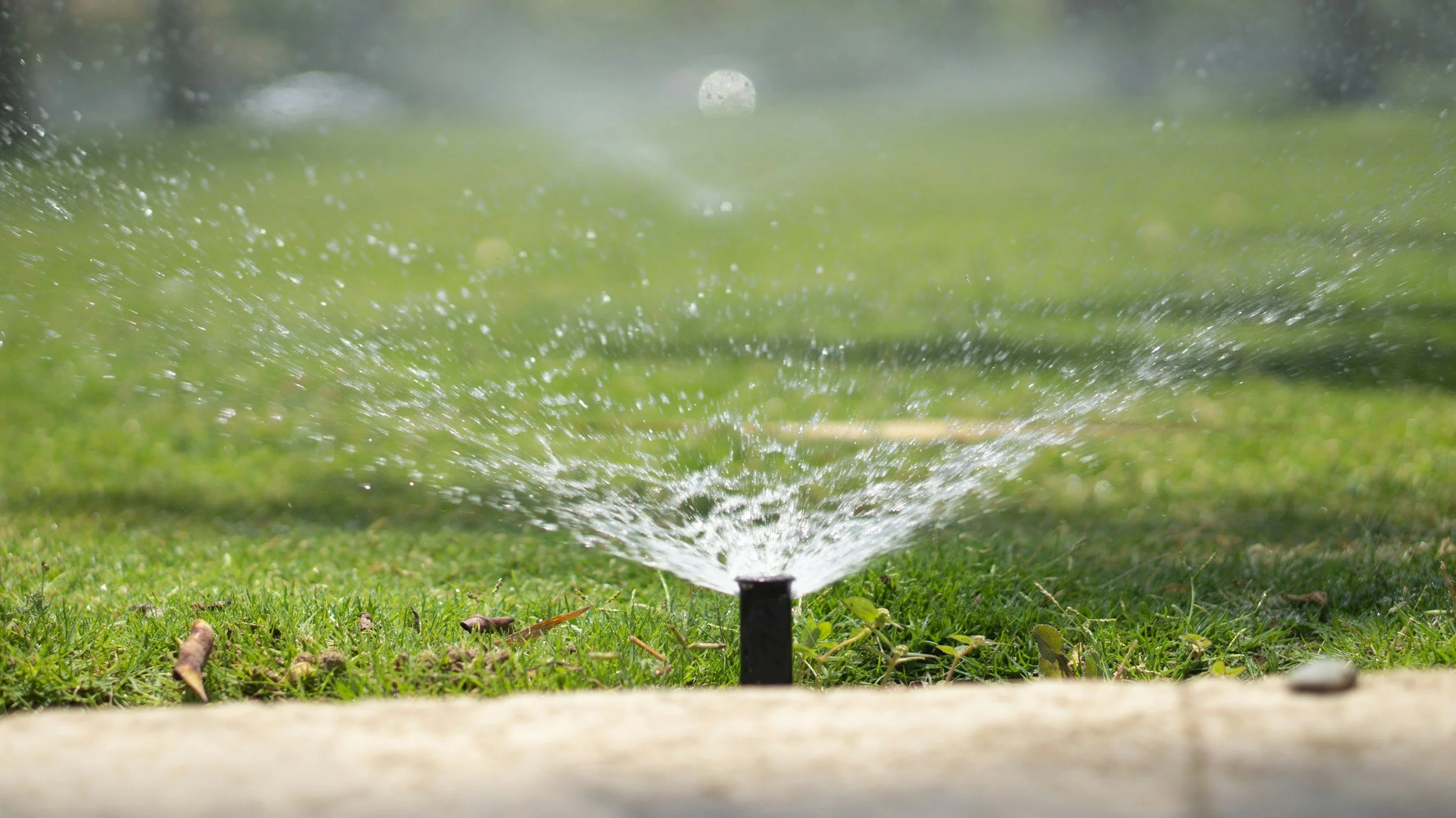 Pop up sprinkler head watering a green lawn as part of a professionally installed irrigation system by Southern Grounds Landscaping in Athens Georgia