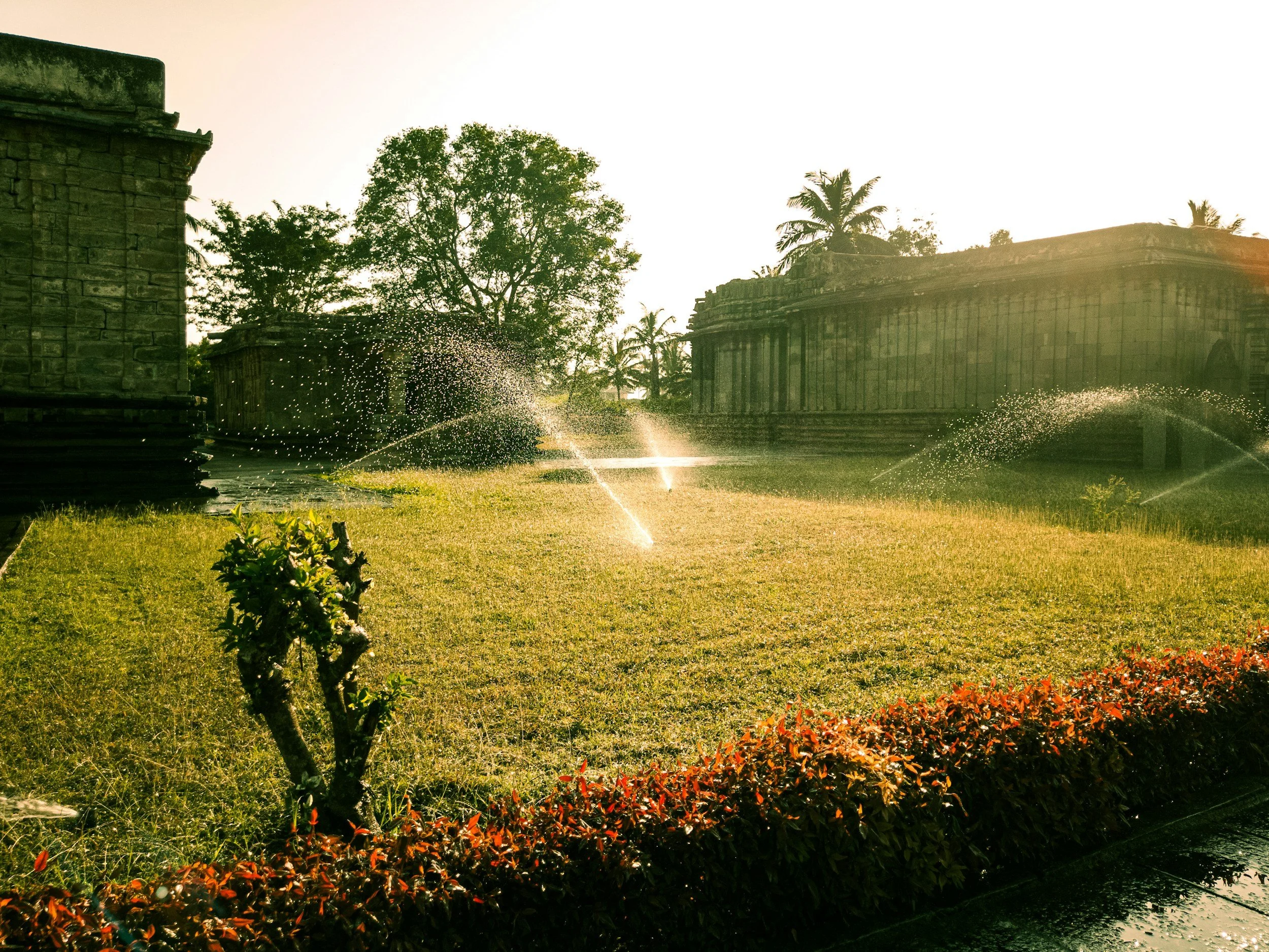 Commercial irrigation system watering a green lawn and flower beds at golden hour installed by Southern Grounds Landscaping in Athens Georgia