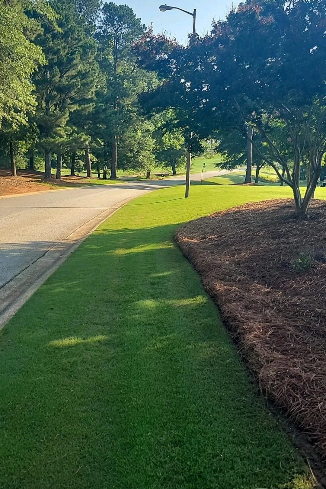 Freshly mowed lawn with crisp edging along a curved neighborhood roadway.