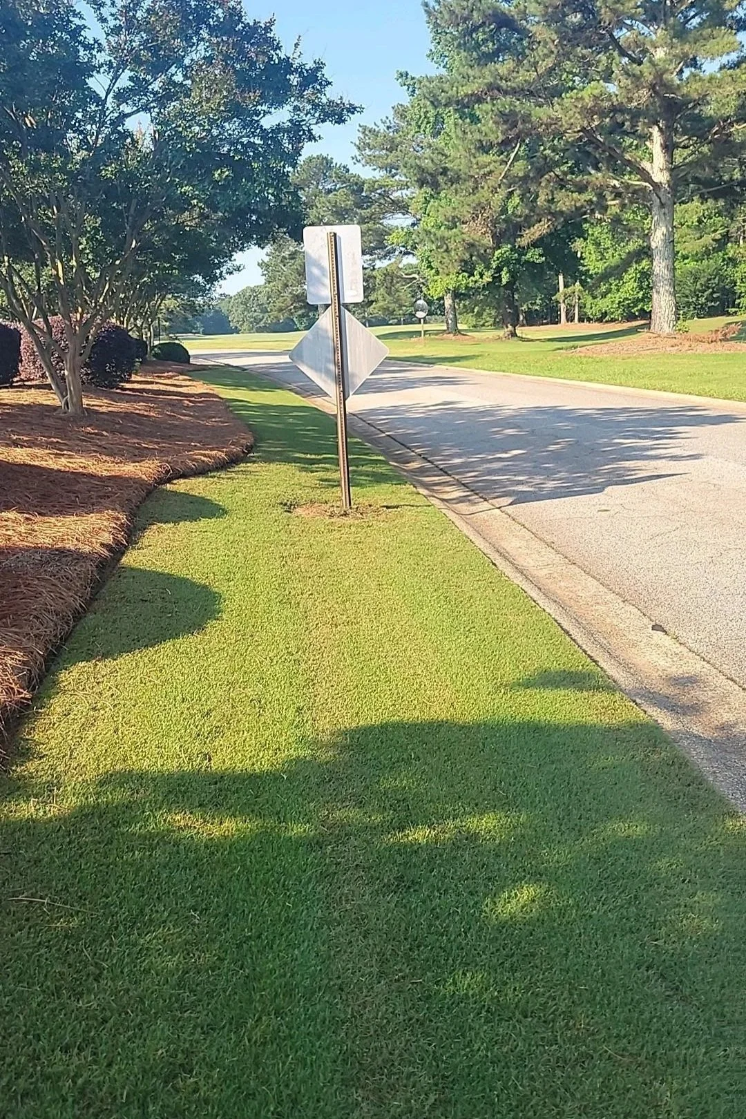 Precision-mowed turf with clean edging bordering a paved neighborhood street.
