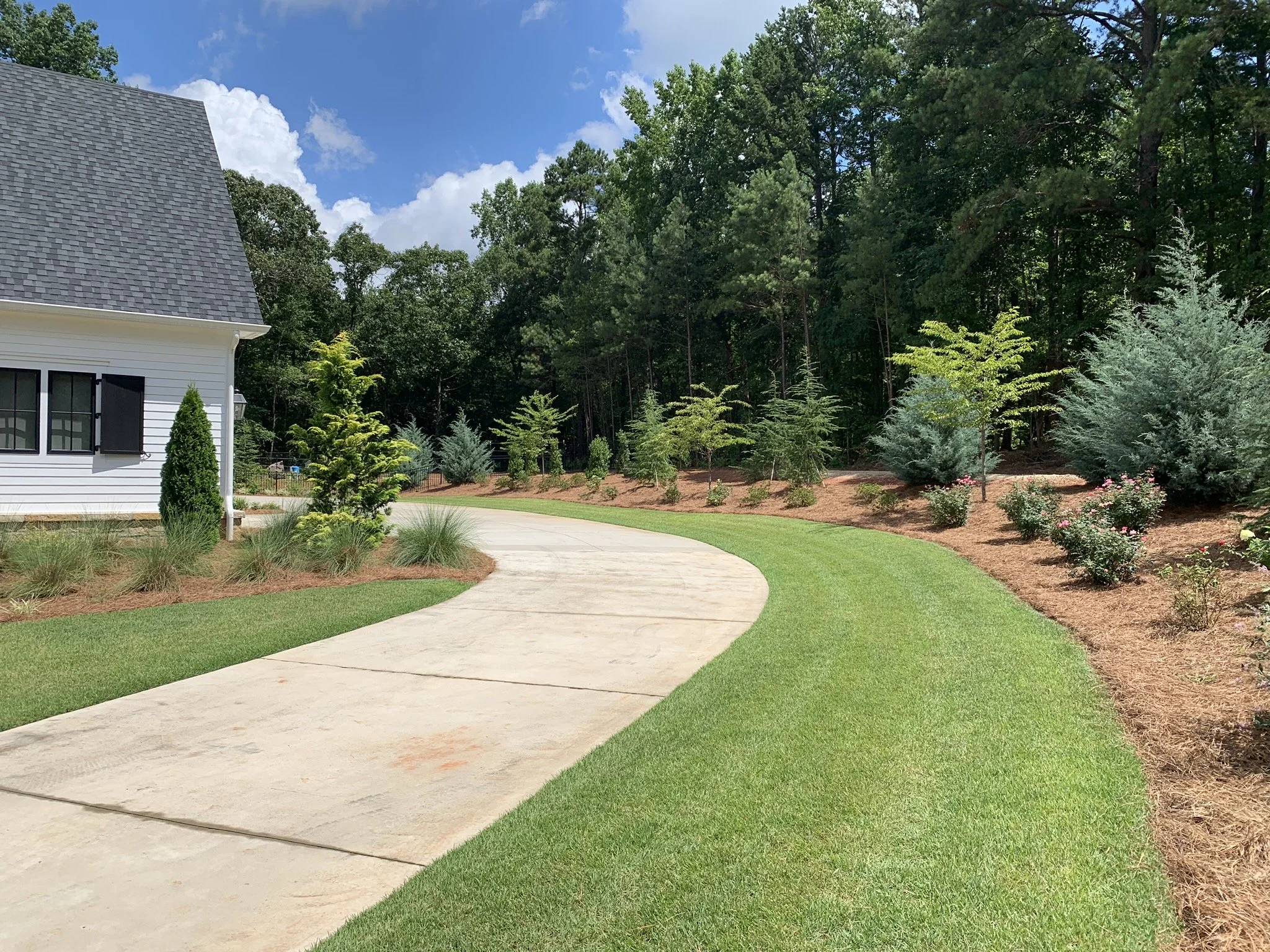 driveway with clean grass and pine straw beds to the side