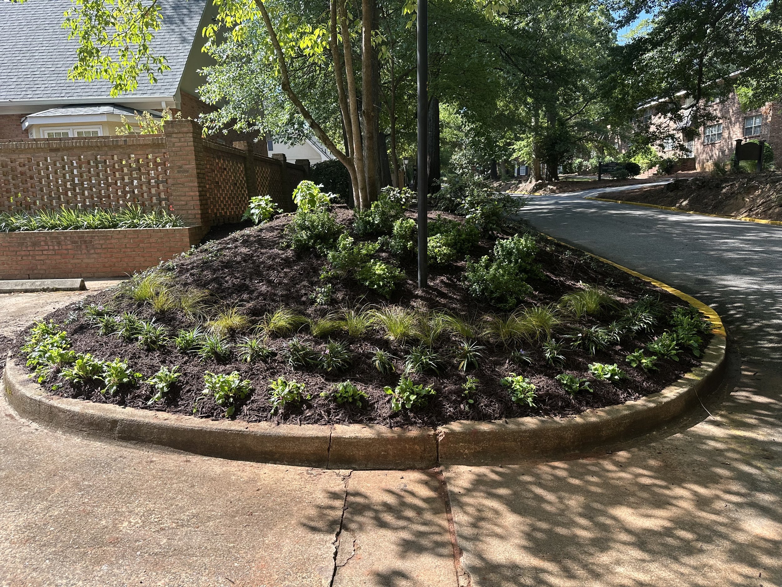 Circular tree island landscaping with layered plantings and fresh mulch along a commercial sidewalk.