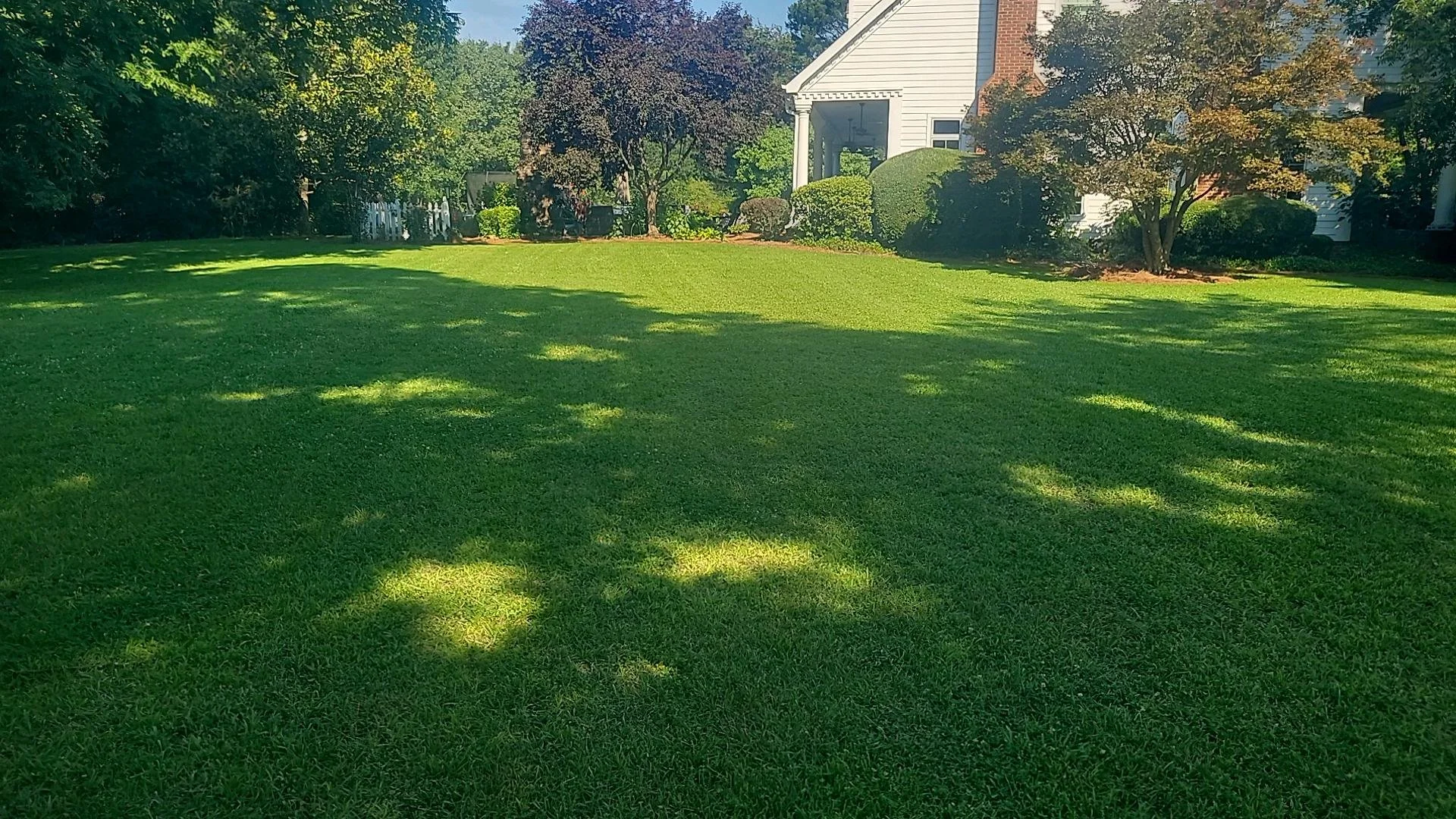 Manicured green lawn with sharp mowing pattern beside brick home and shrub landscaping
