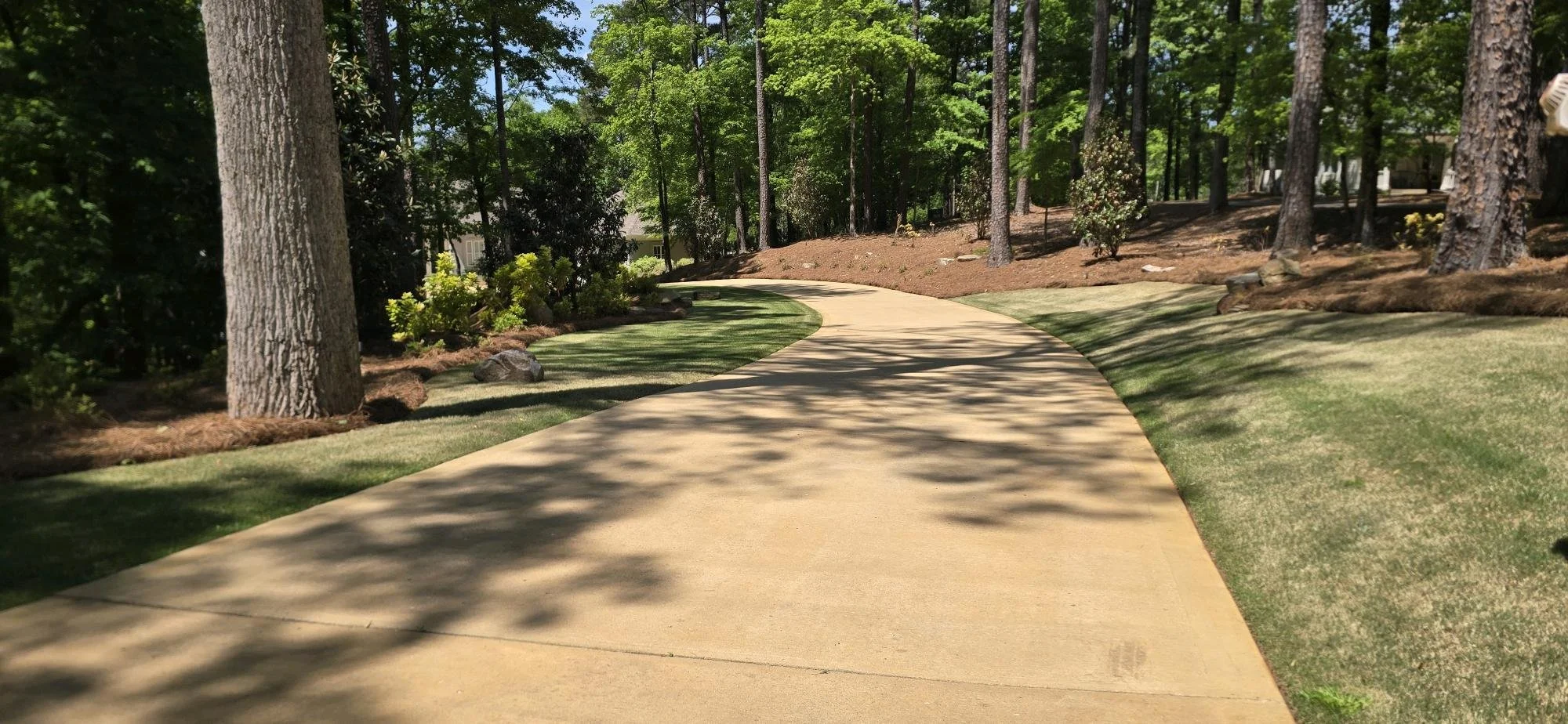 Long curved concrete driveway with clean-edged lawn and mulched tree line landscaping