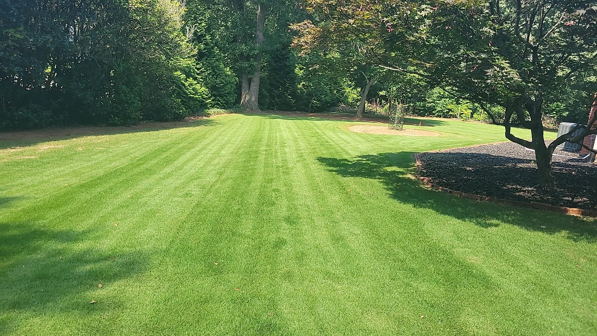 Professionally mowed lawn with crisp mowing stripes under mature shade trees