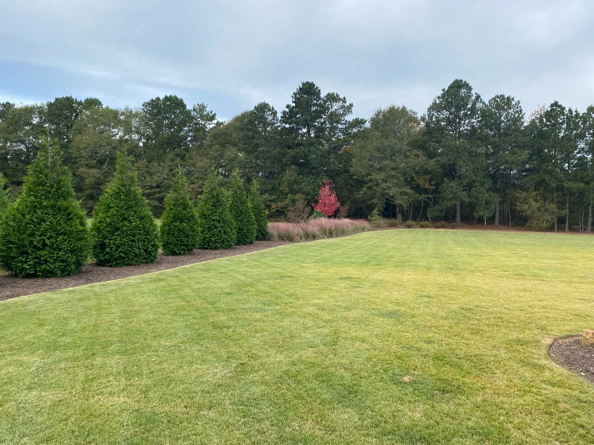 freshly cut lawn with trees and bushes 
