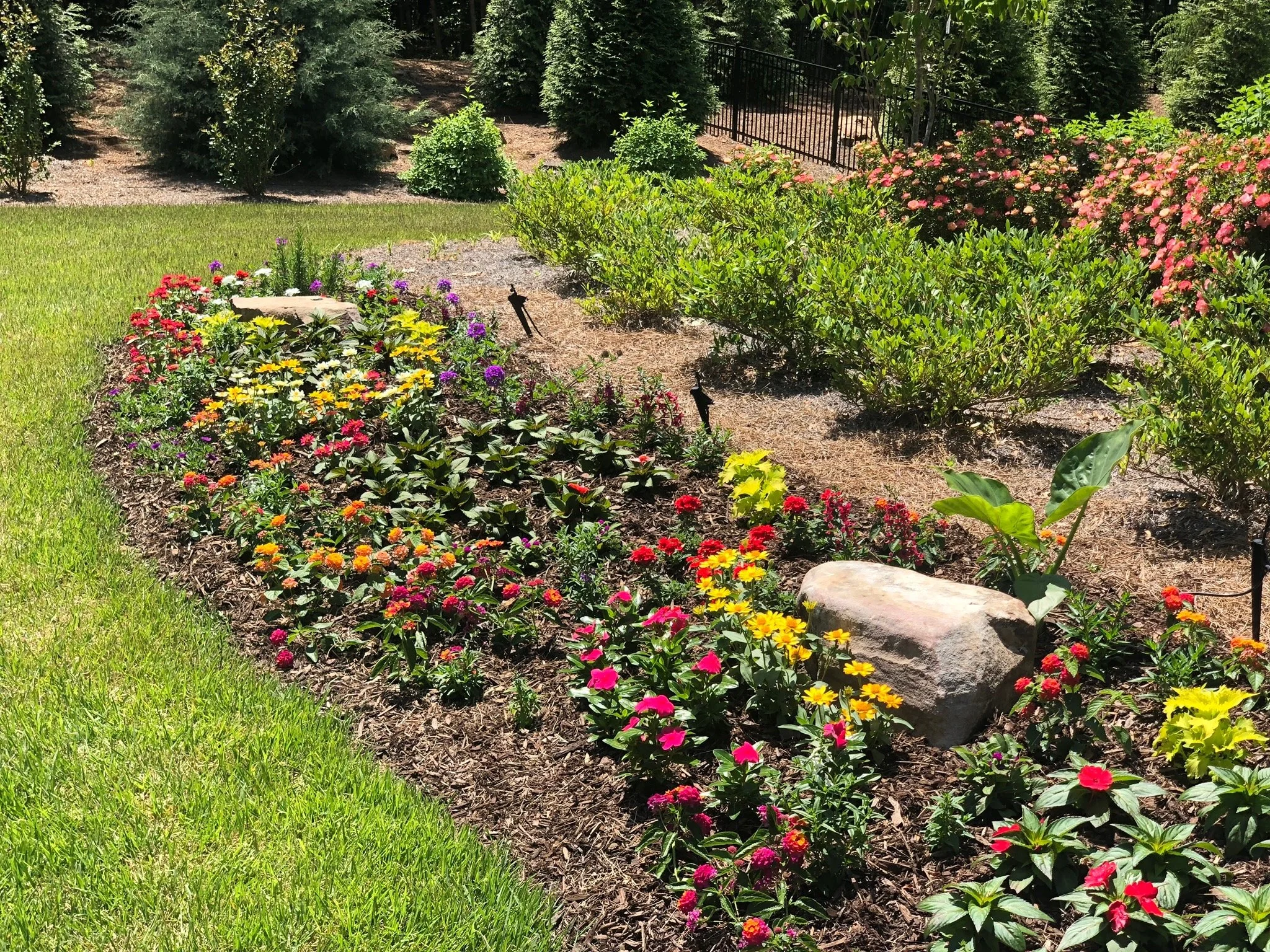 Professionally installed landscape bed with mixed annual flowers, natural stone accents, and shrubs by Southern Grounds Landscaping in Athens Georgia