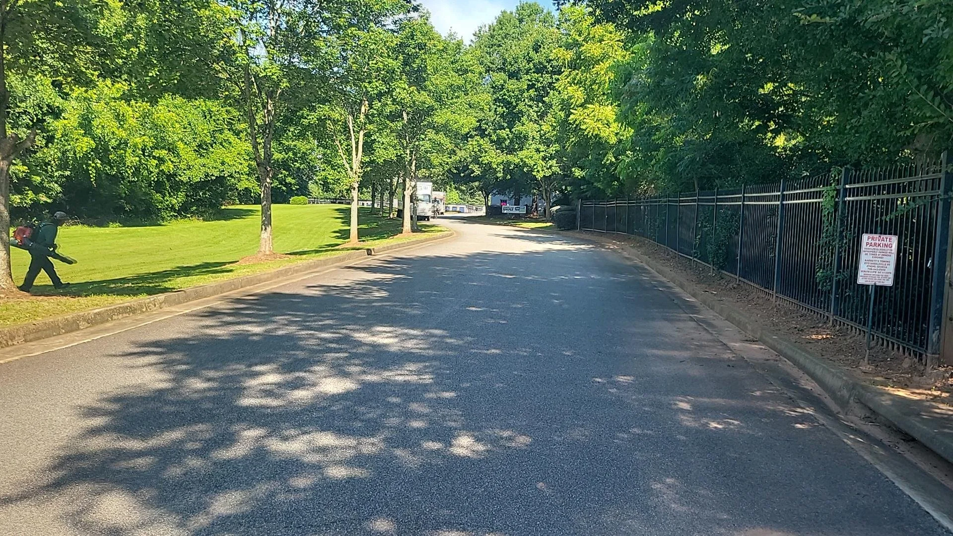 Clean-edged commercial roadway landscaping with mature shade trees lining the drive.
