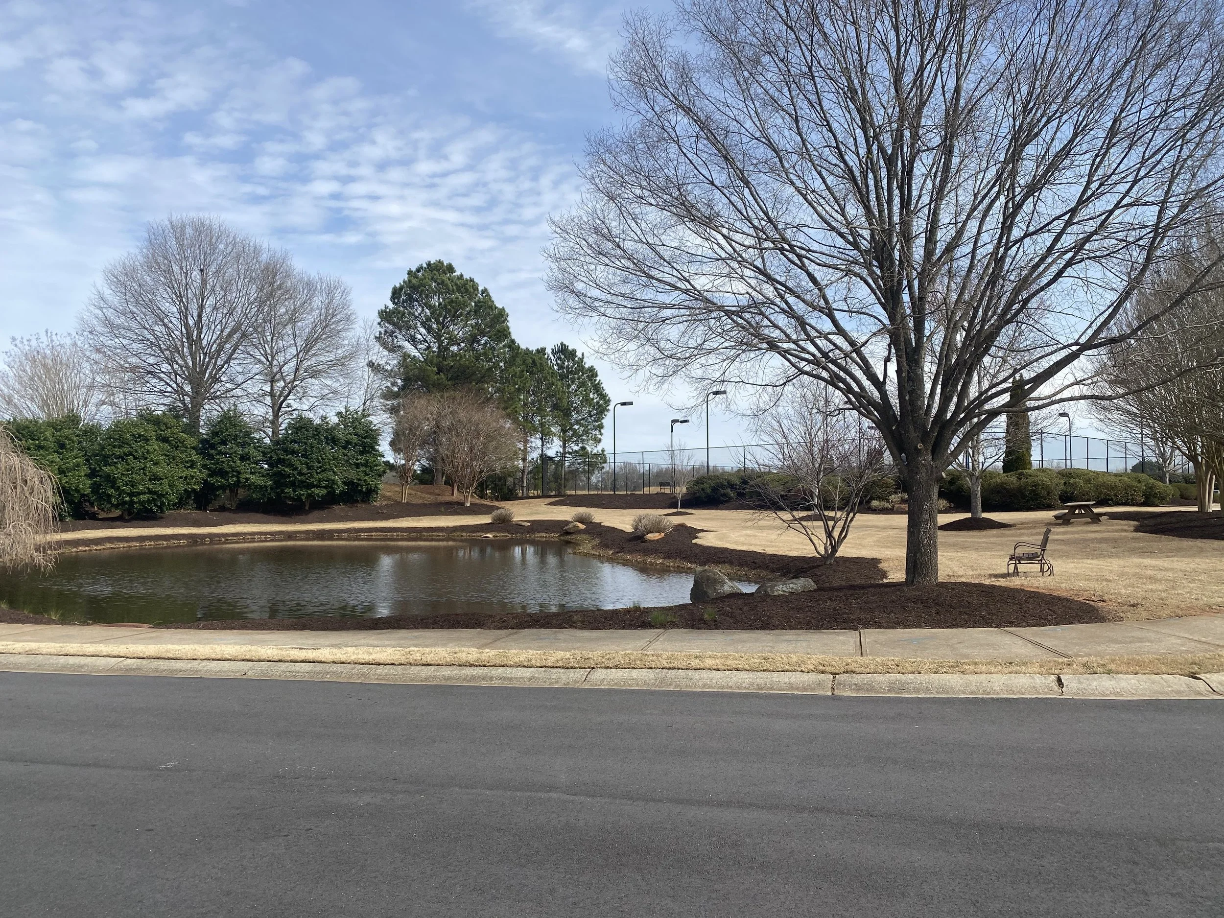 Maintained retention pond landscaping with clean mulch edging and trimmed lawn areas in a community common space.