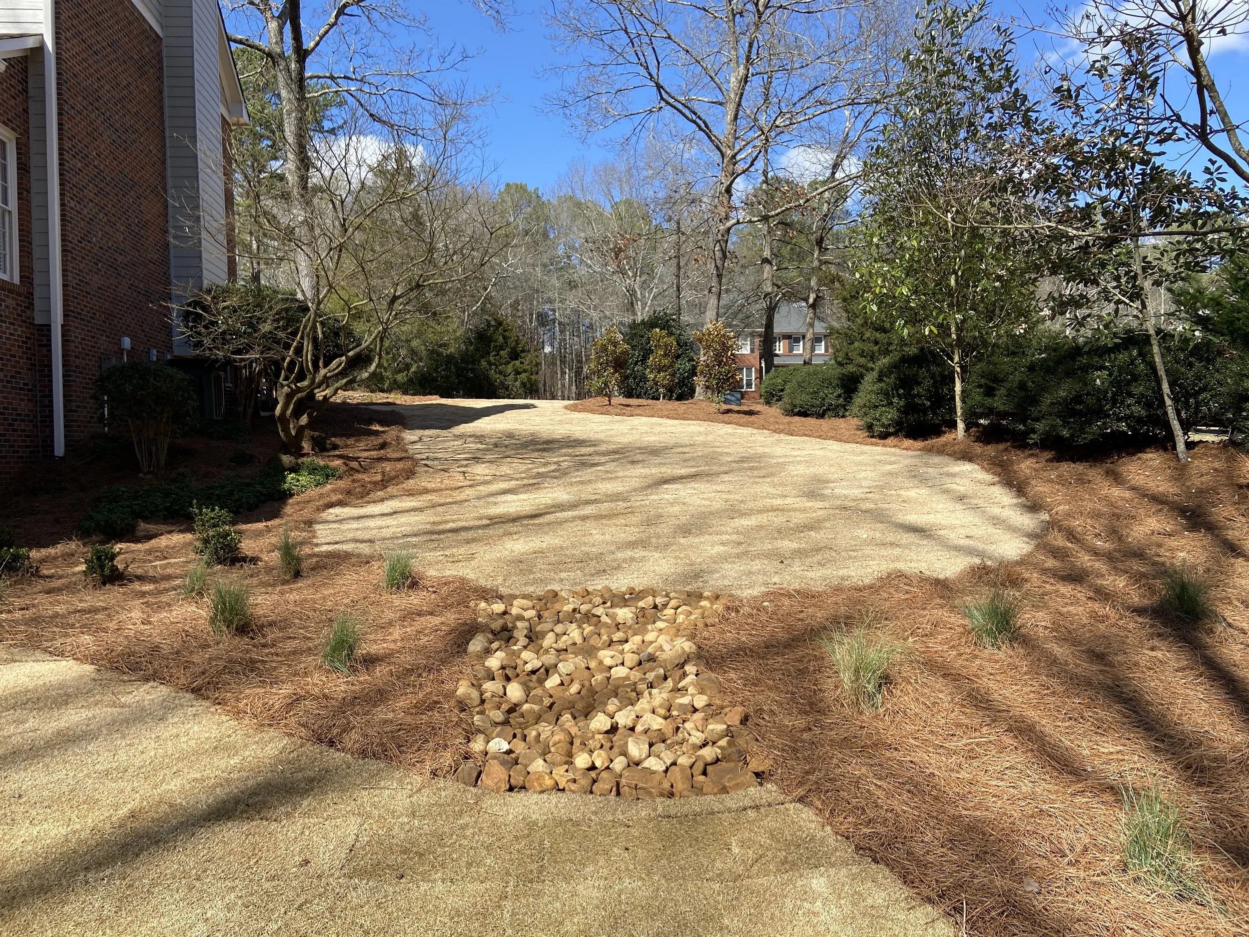 Freshly hydroseeded lawn with pine straw beds, newly planted shrubs, and a river rock drainage feature installed by Southern Grounds Landscaping in Watkinsville Georgia