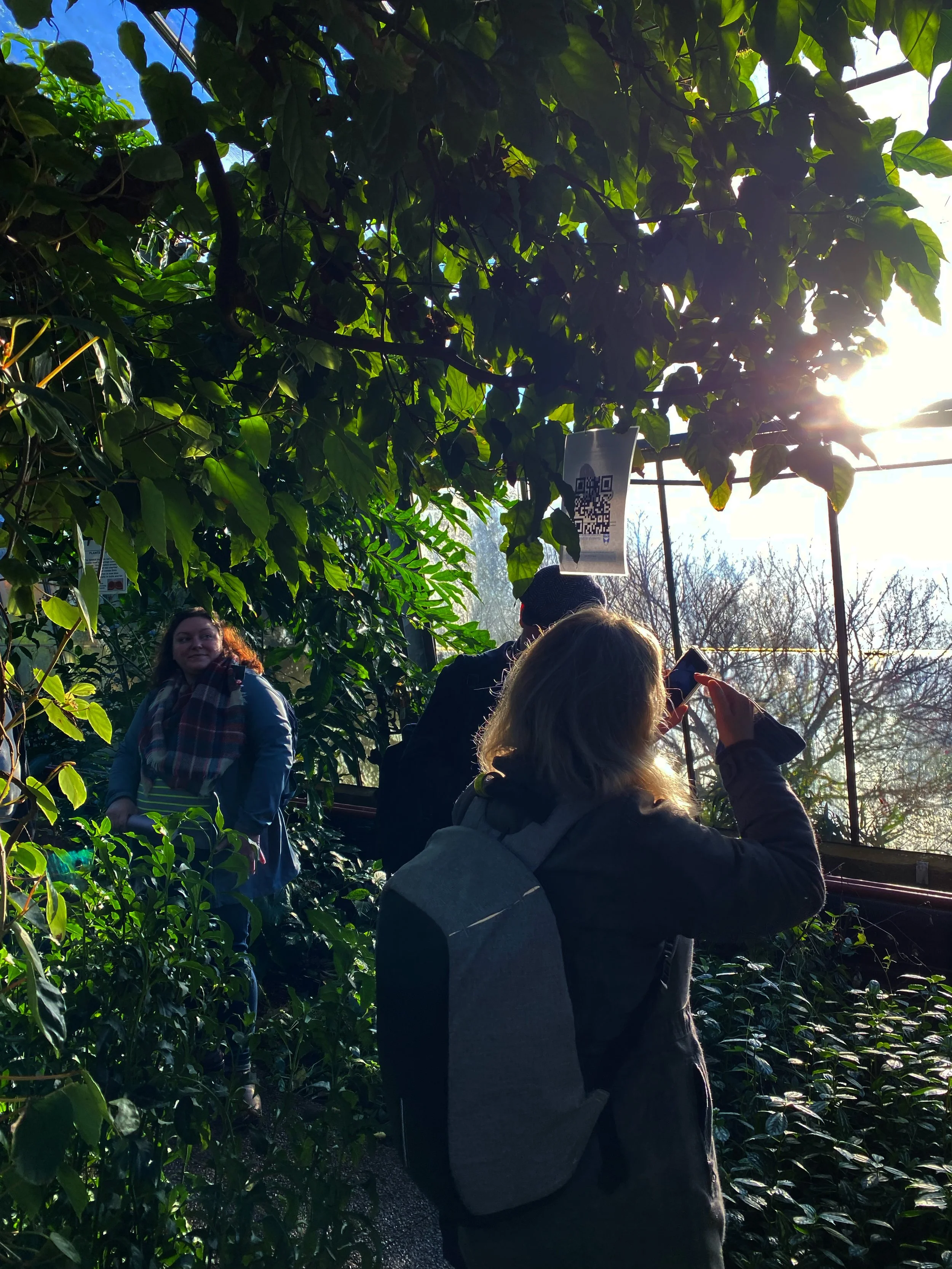 ©DésiréeCoral_2023_ BotanicalGardensUOD_4.jpg