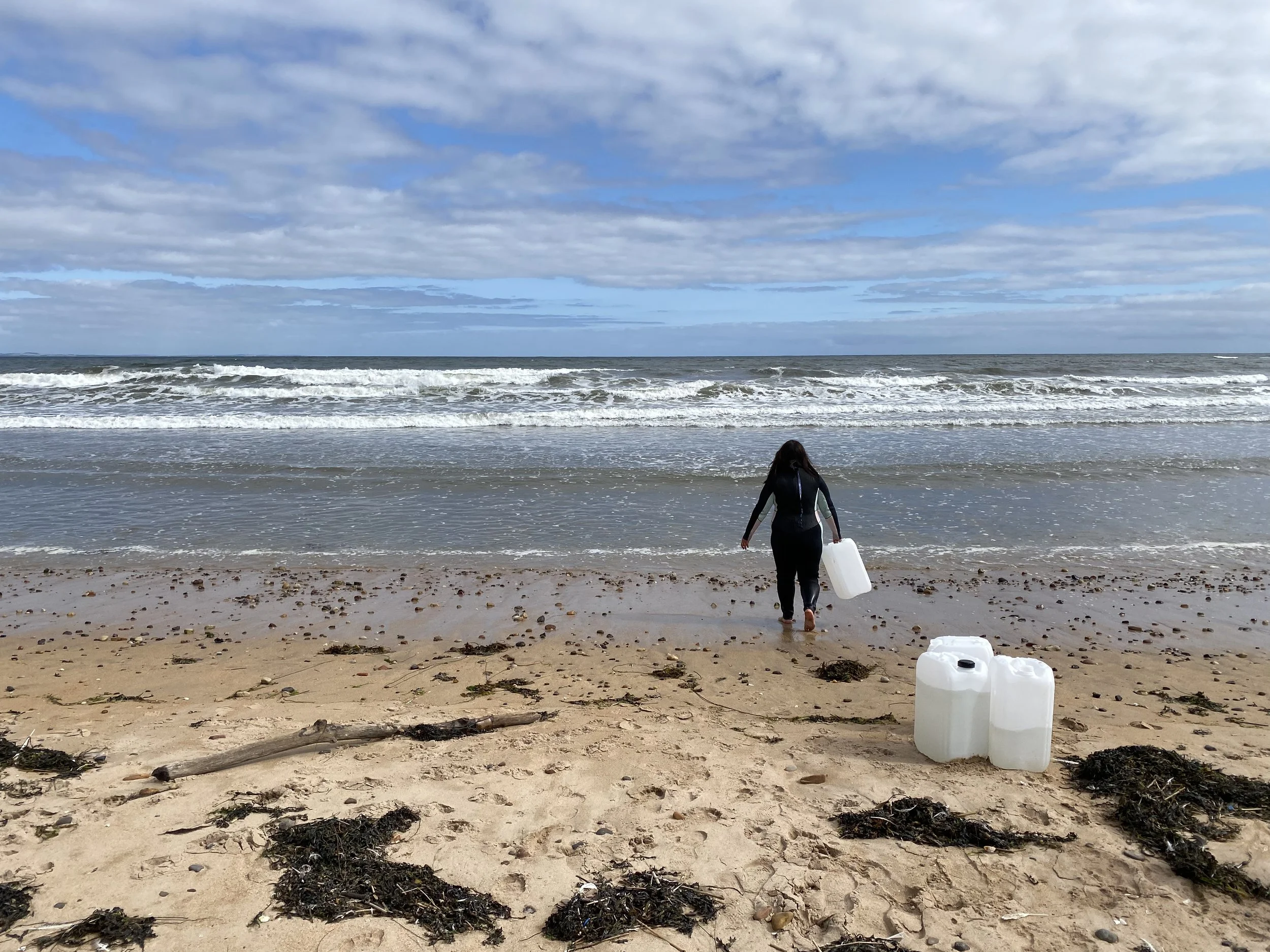 Essays on Salt–The First Harvest