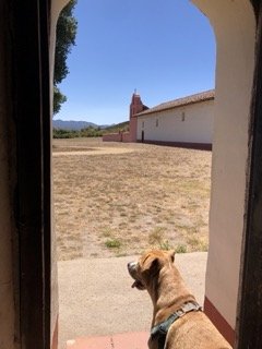 IMG_4177 Small.jpeg