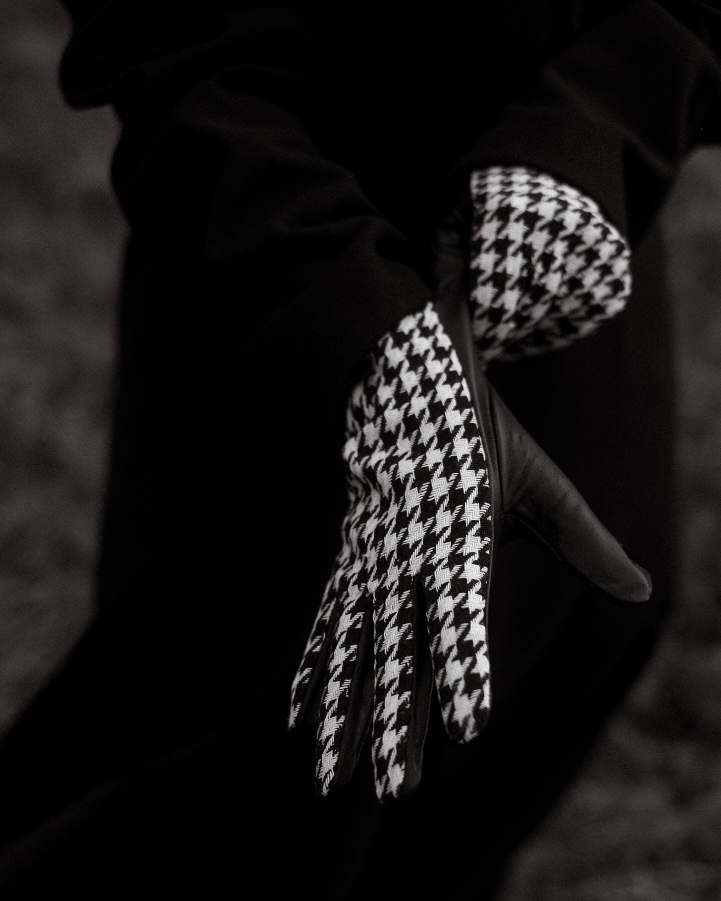 The one with a preview of another one. Houndstooth heyday.
.
🪩 @majelslabbinck
📷&nbsp;@sanderevers&nbsp;/ shot on&nbsp;@fujifilm_global&nbsp;#fujifilm&nbsp;#xt4 #xf35
. 
.
.
.
.
@fujifilmbelgium @_fujilove_ @fujifilmglobal
@portraitsofbelgium
@belg