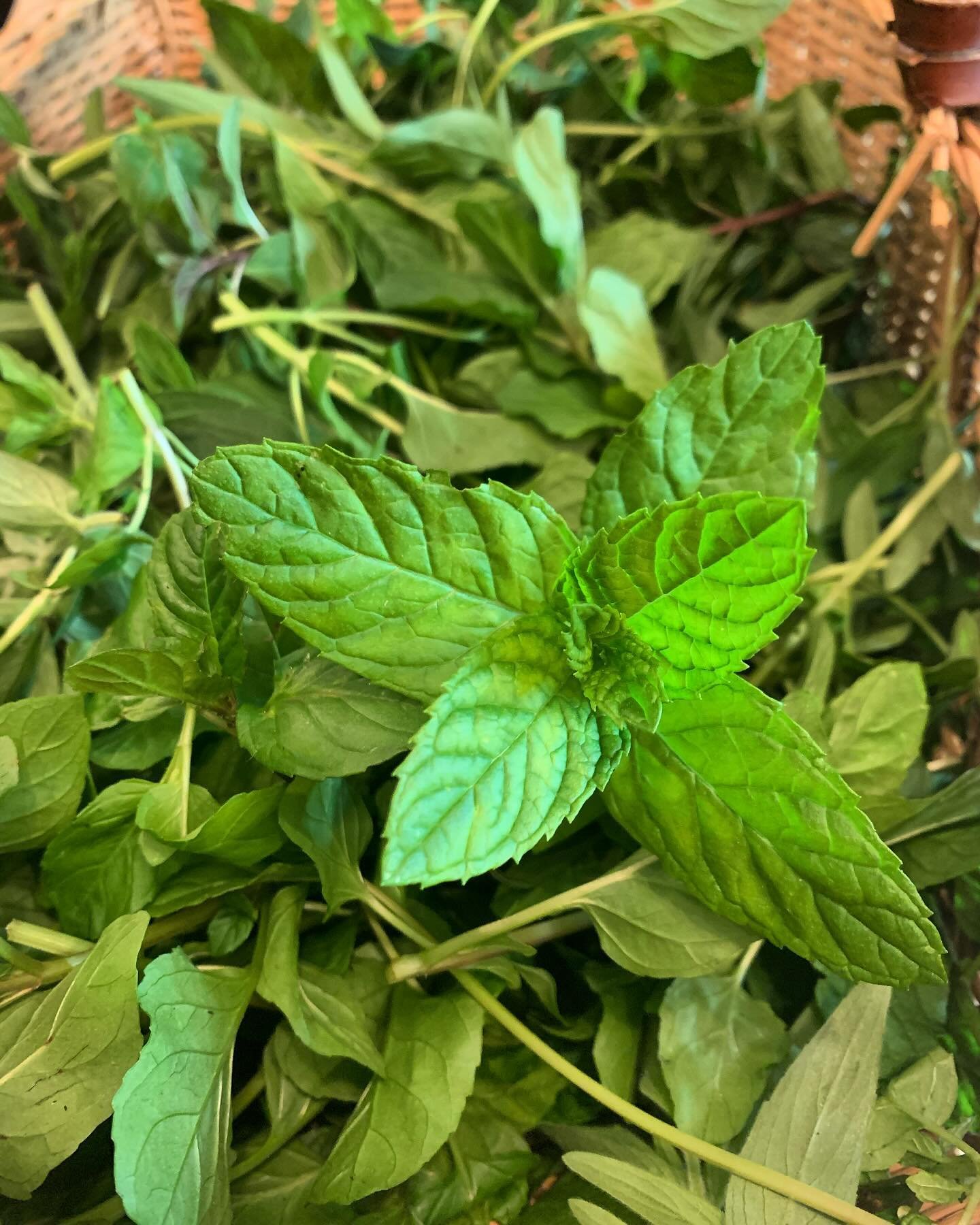 There&rsquo;s no better fragrance in the world than a basket full of freshly harvested #mint