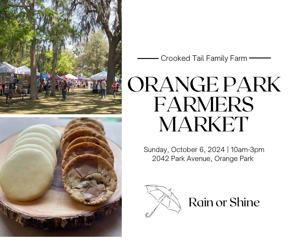 Pack your umbrella 🌂 and come say hi! Brighten up your day with our strawberry pineapple citrus sugar cookies, triple vanilla chocolate chip cookies featuring scratch-made salted toffee, locally made herbal teas, and sunflower, broccoli, and pea mic