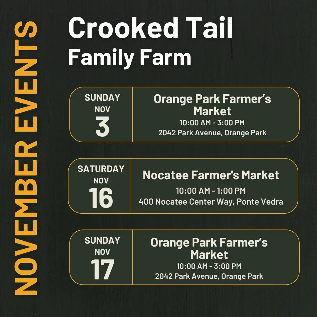 We look forward to seeing you
