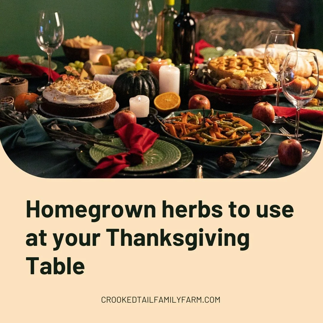 This Thanksgiving, elevate your recipes with the taste of homegrown herbs! Freshly picked sage, rosemary, thyme, and more bring out the best in holiday dishes, adding depth and flavor that dried herbs just can&rsquo;t match 🌱
