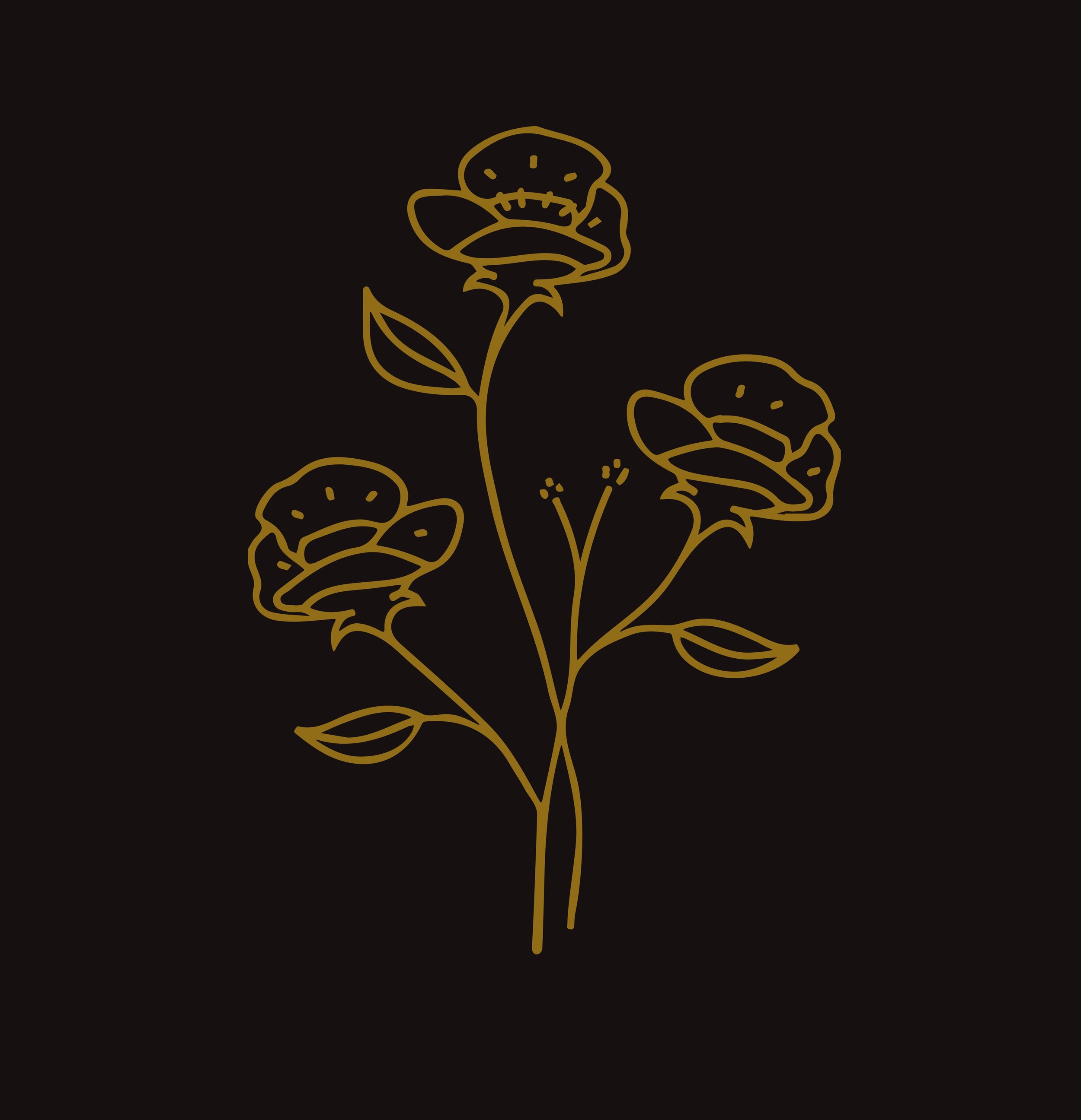 FaireFlowerSubscription 3blackbg.jpeg