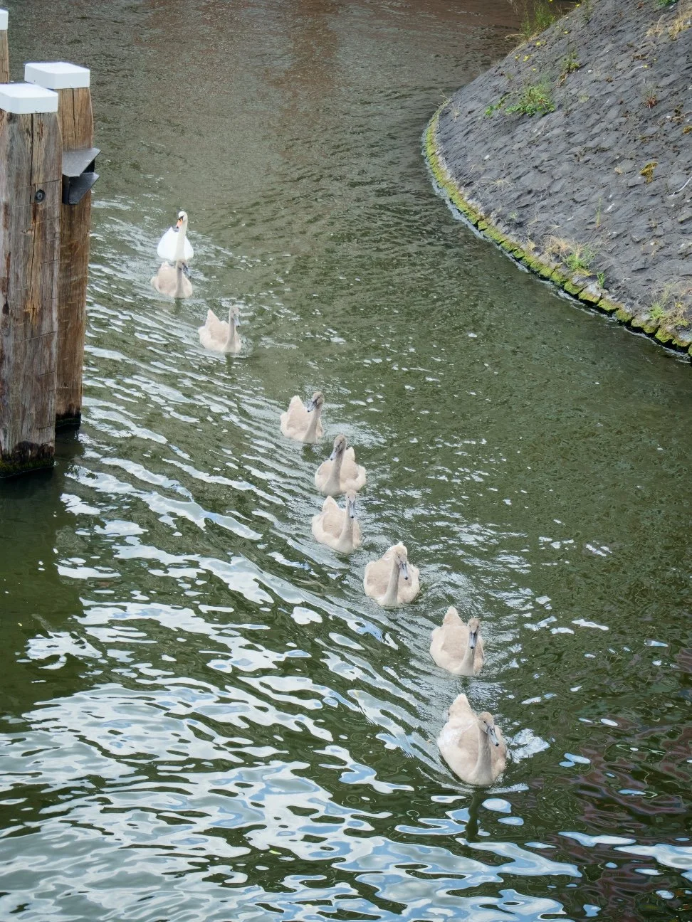 _OP10624.jpg