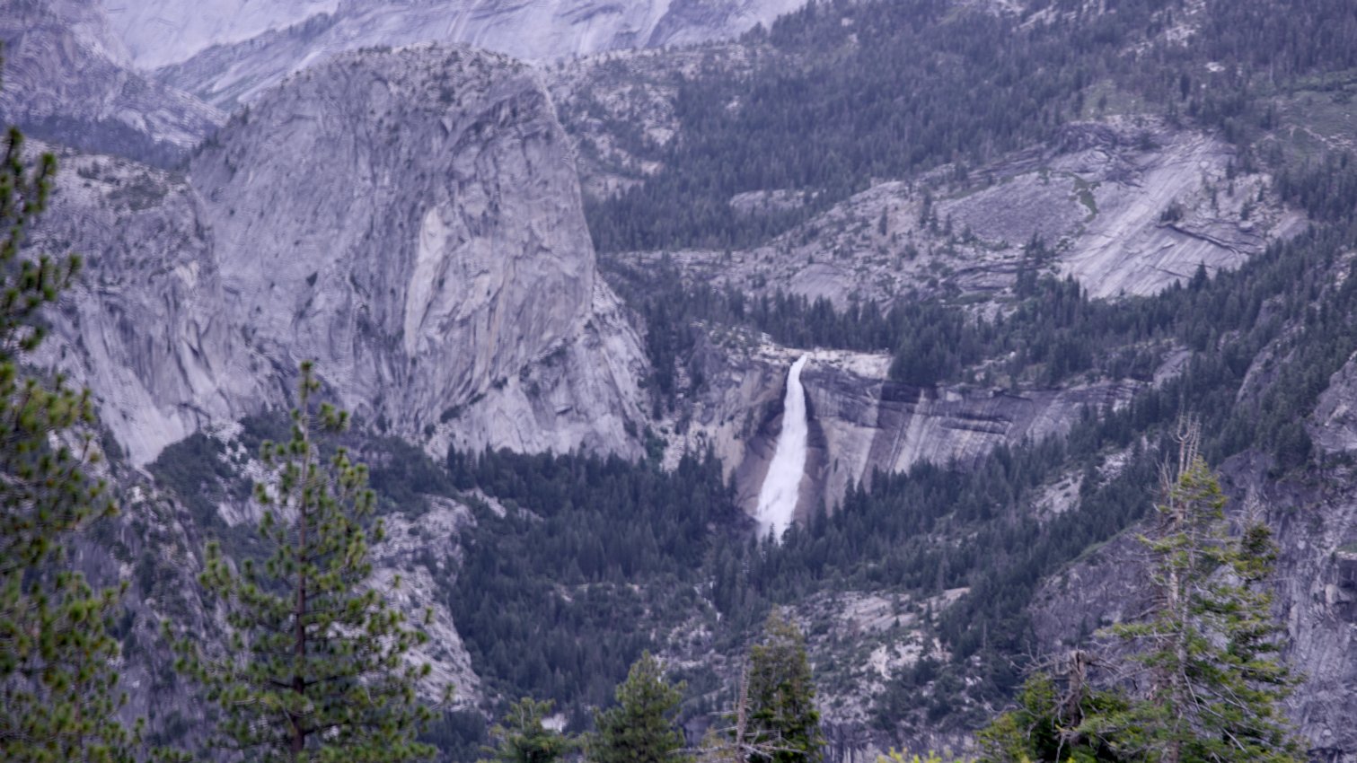 _DSC2890.jpg