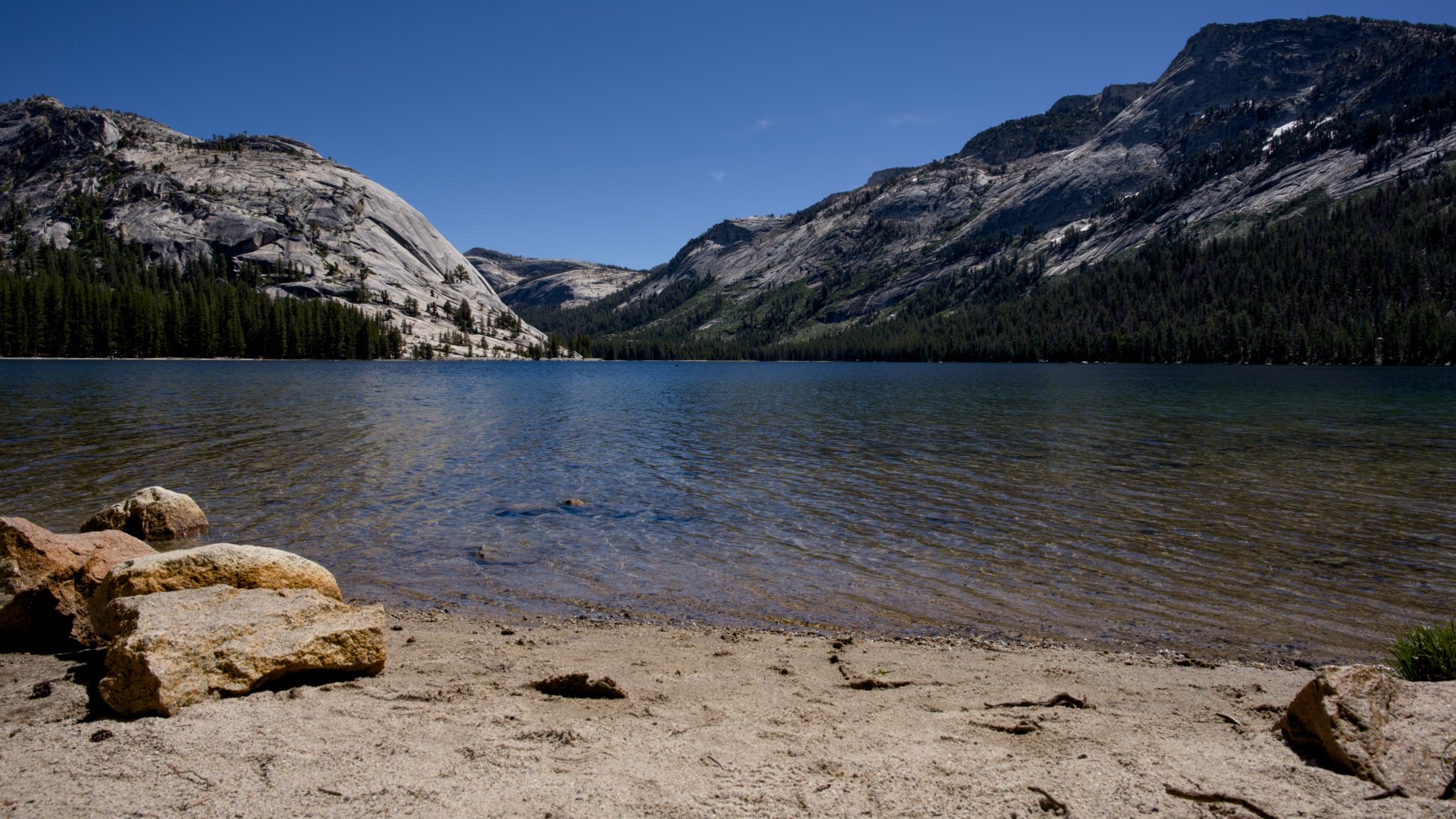 _DSC3132.jpg