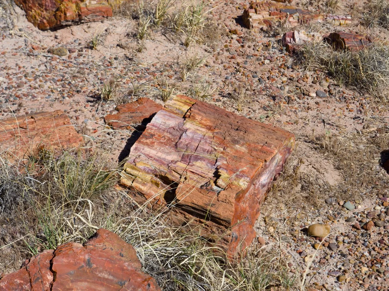 _5210066.jpg