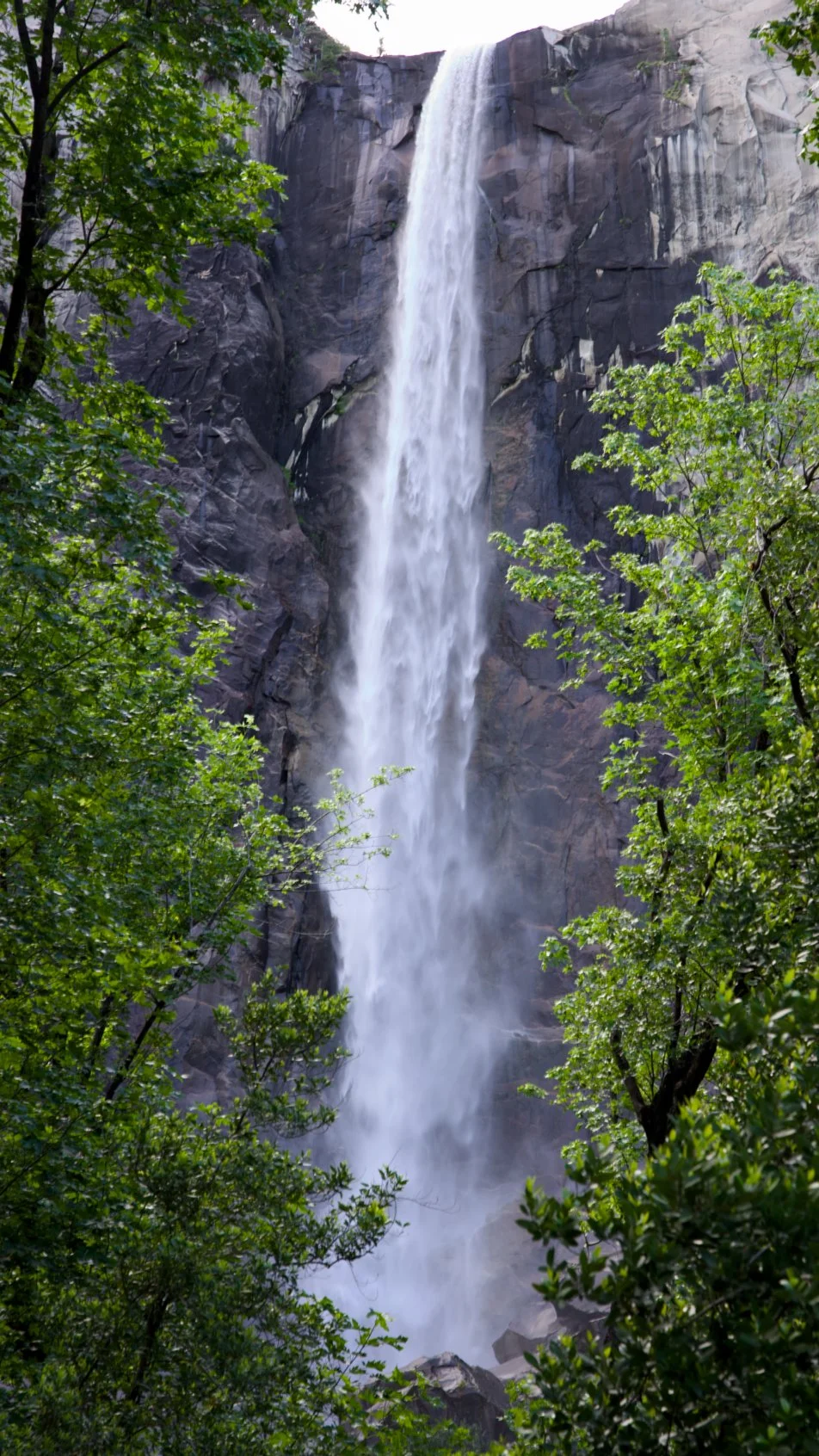 _DSC2932.jpg