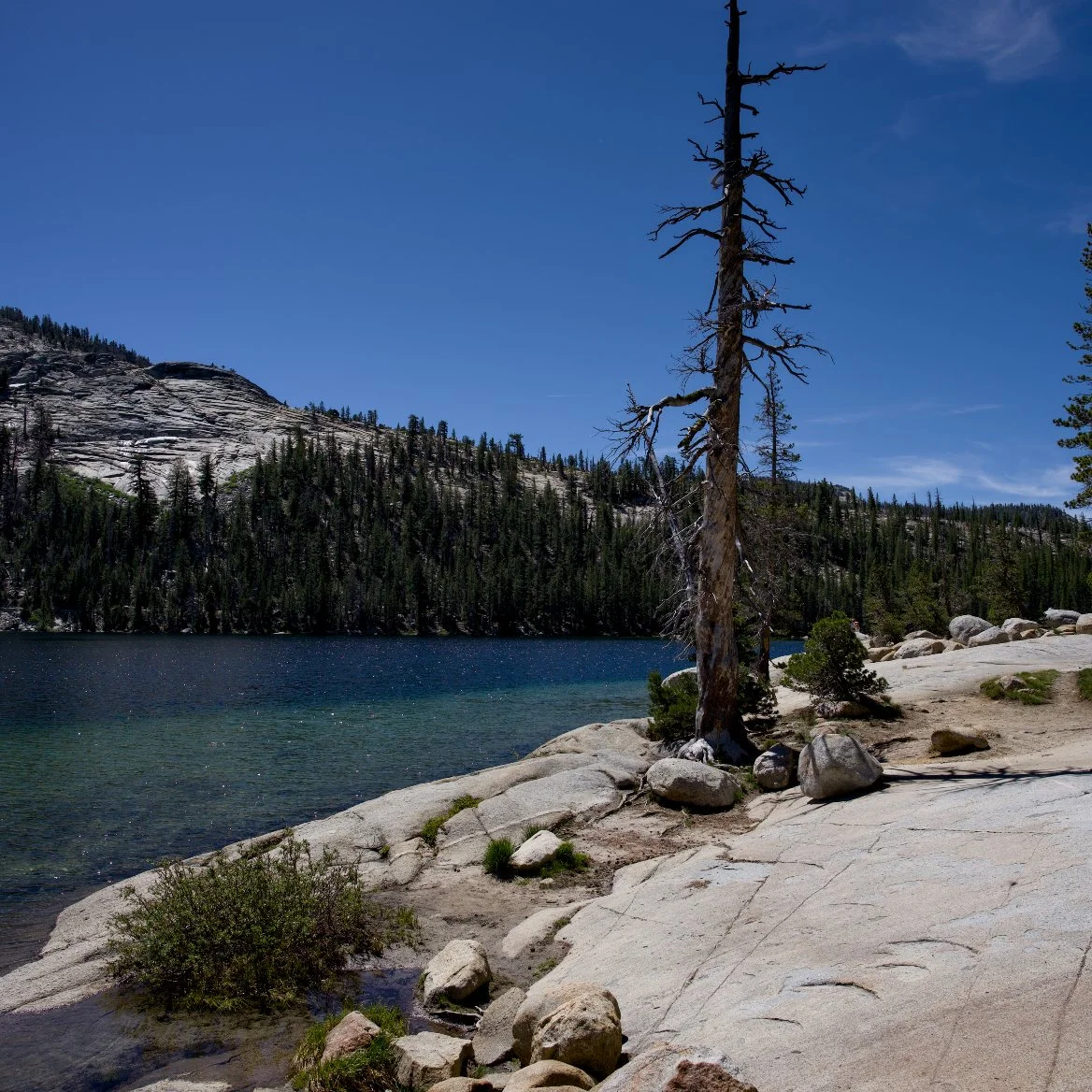 _DSC3154.jpg