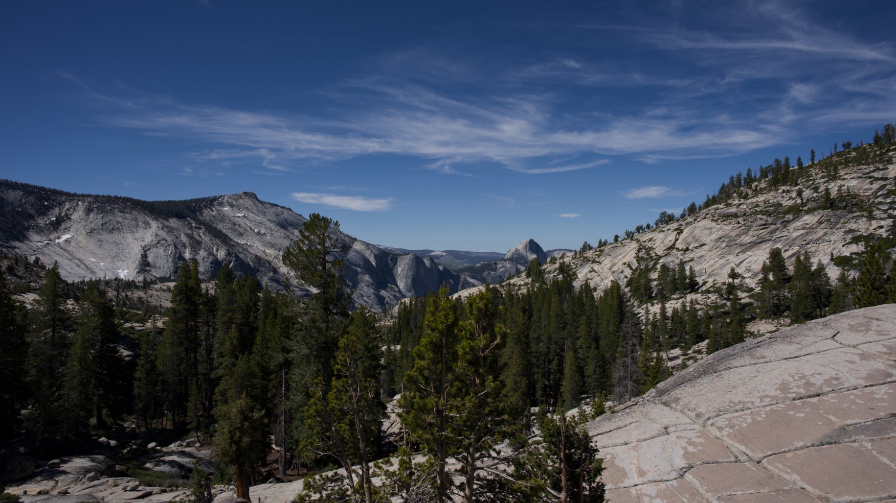 _DSC3072.jpg