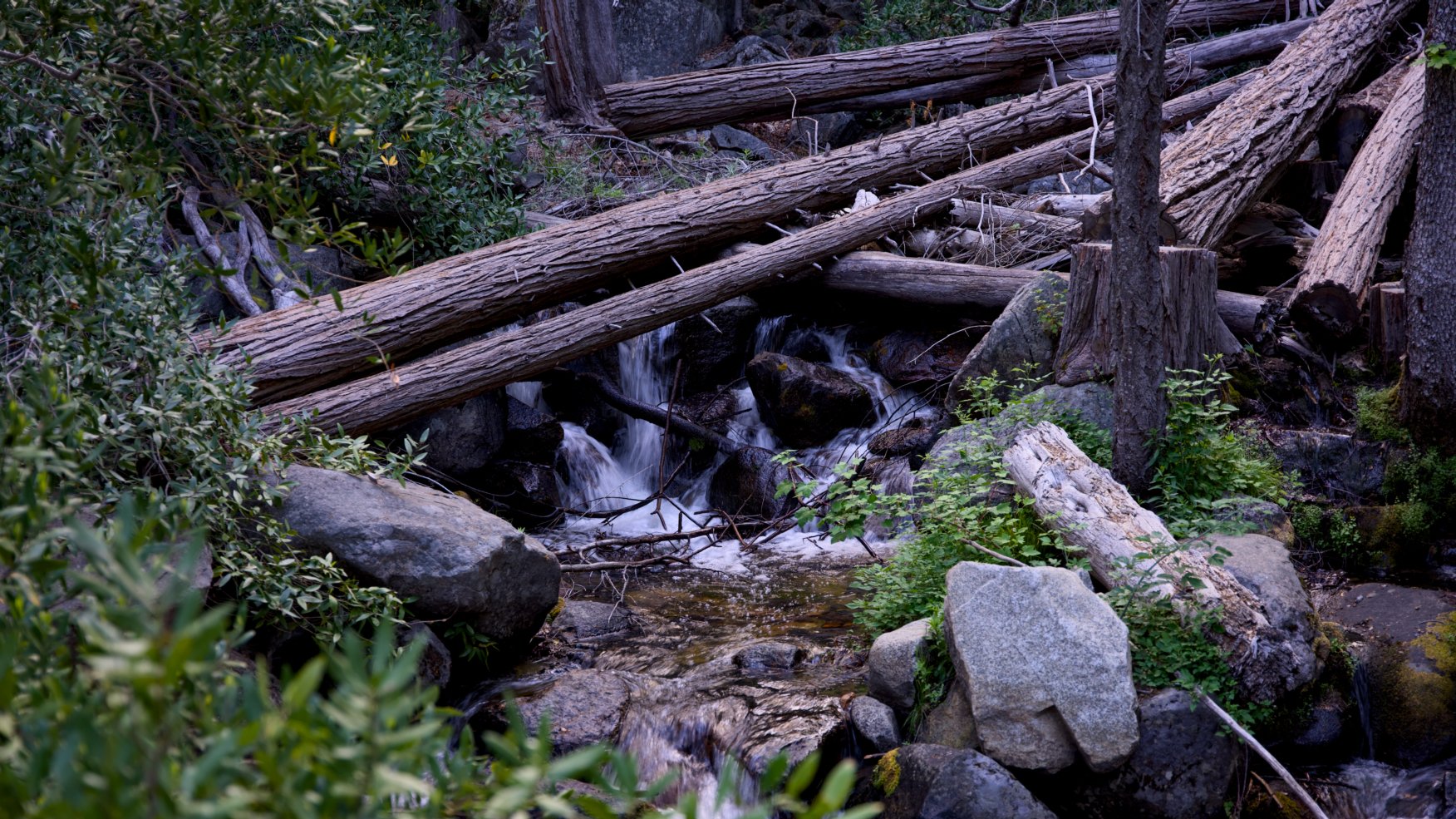 _DSC2982.jpg