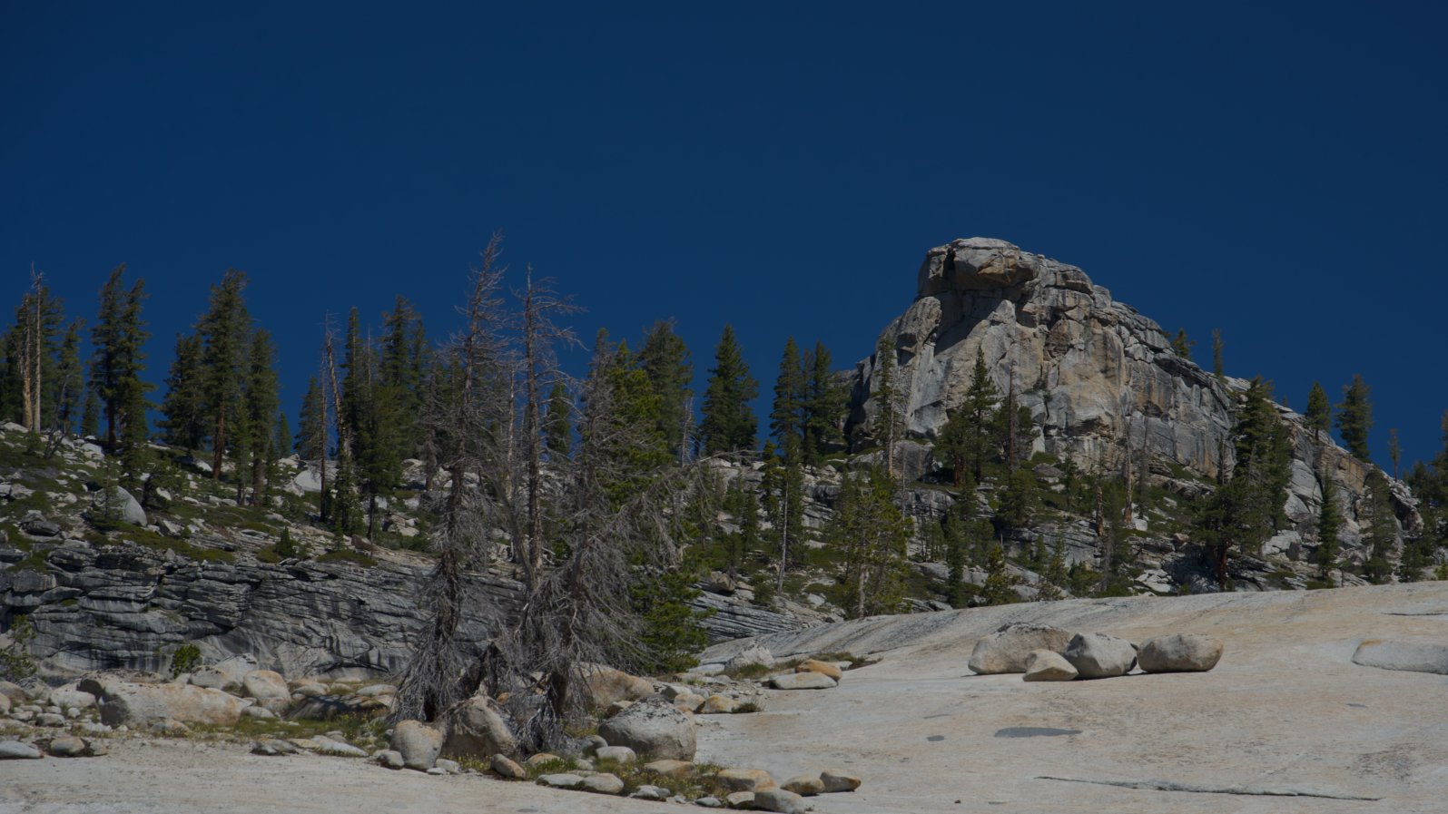 _DSC3123.jpg