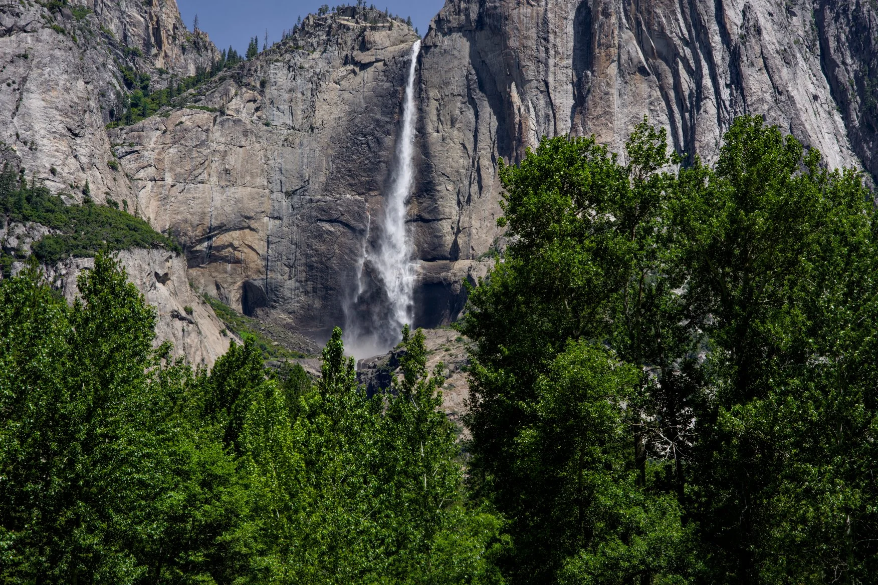 _DSC2859.jpg