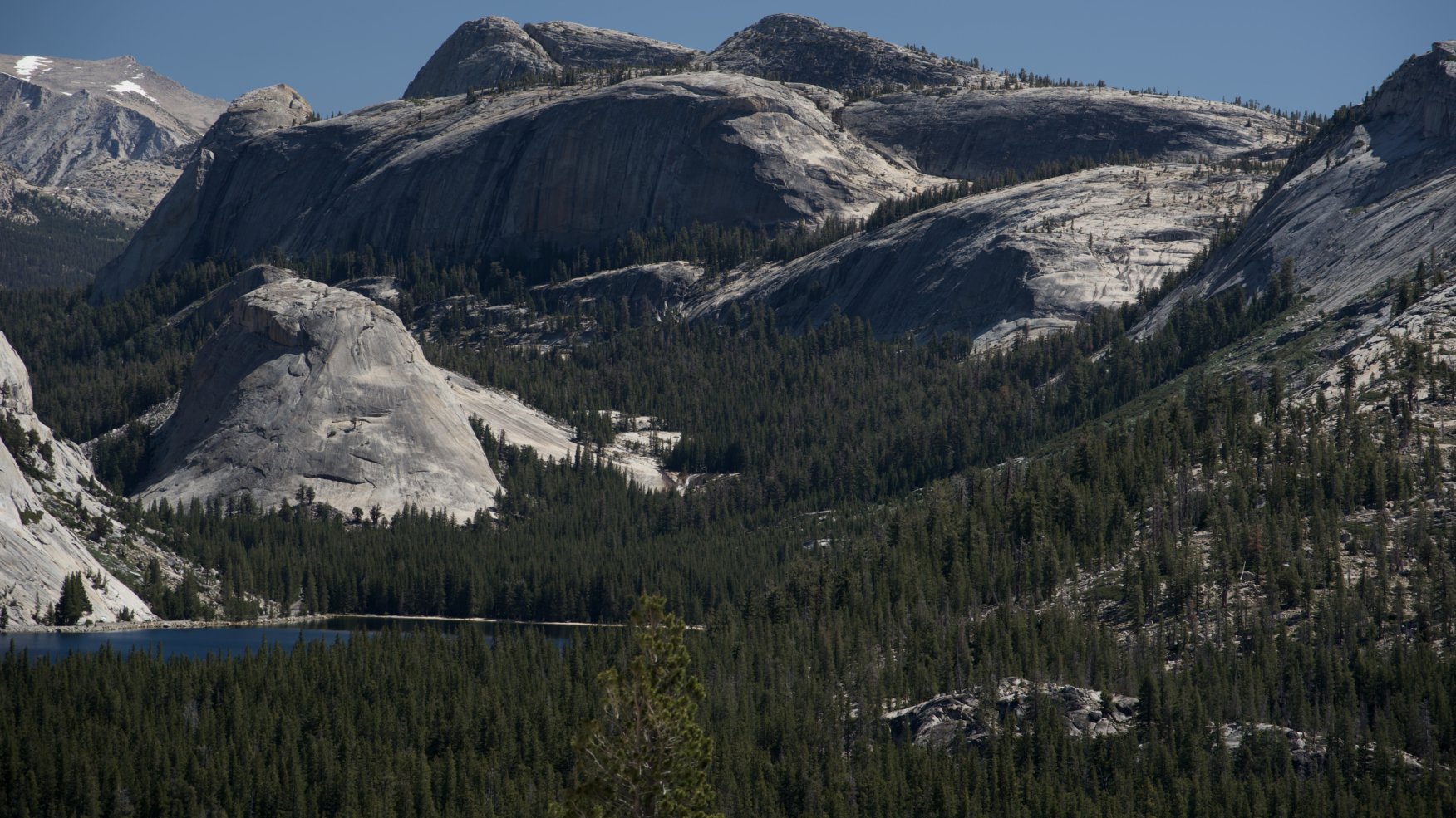 _DSC3106.jpg