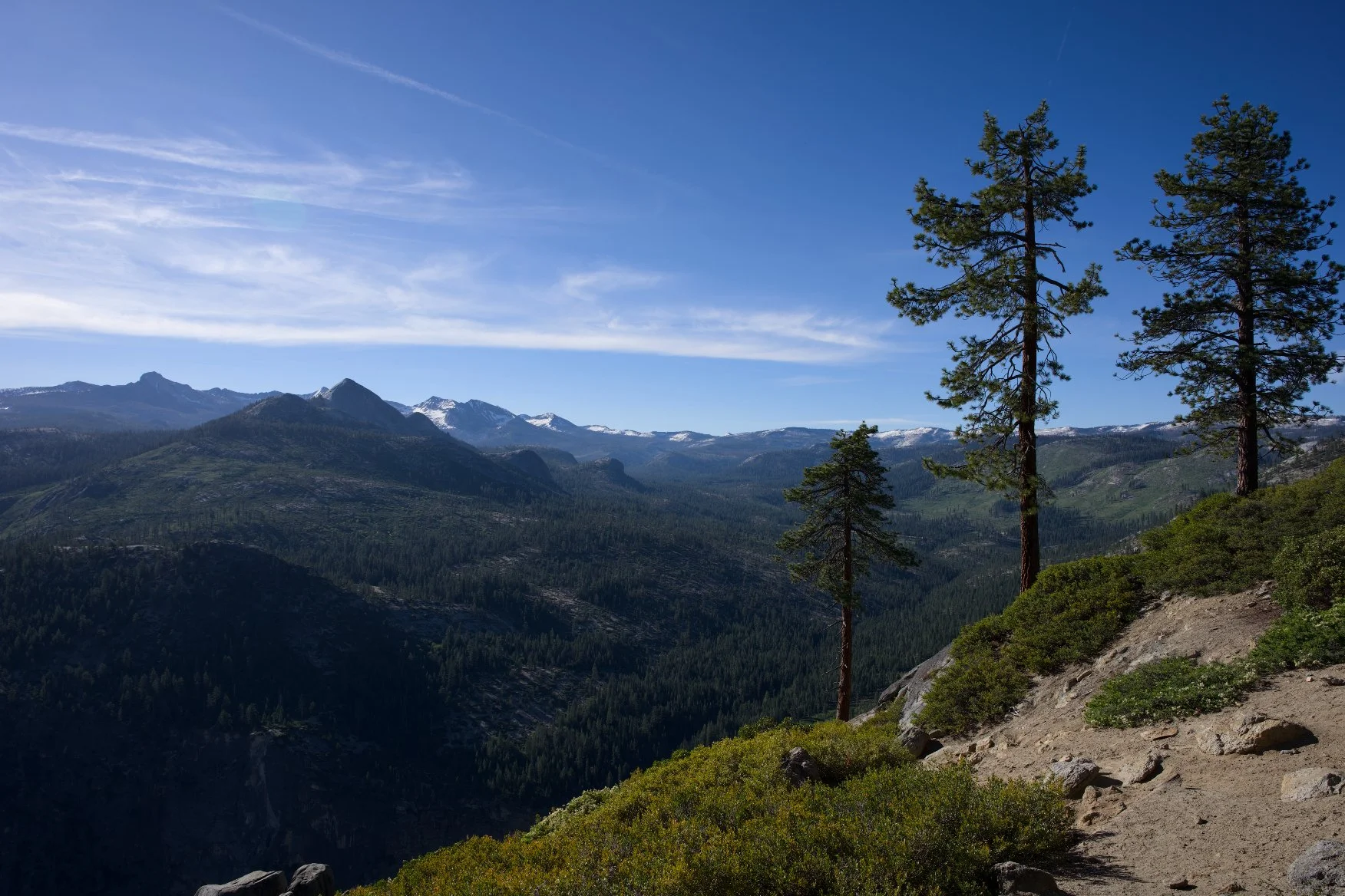 _DSC2653.jpg