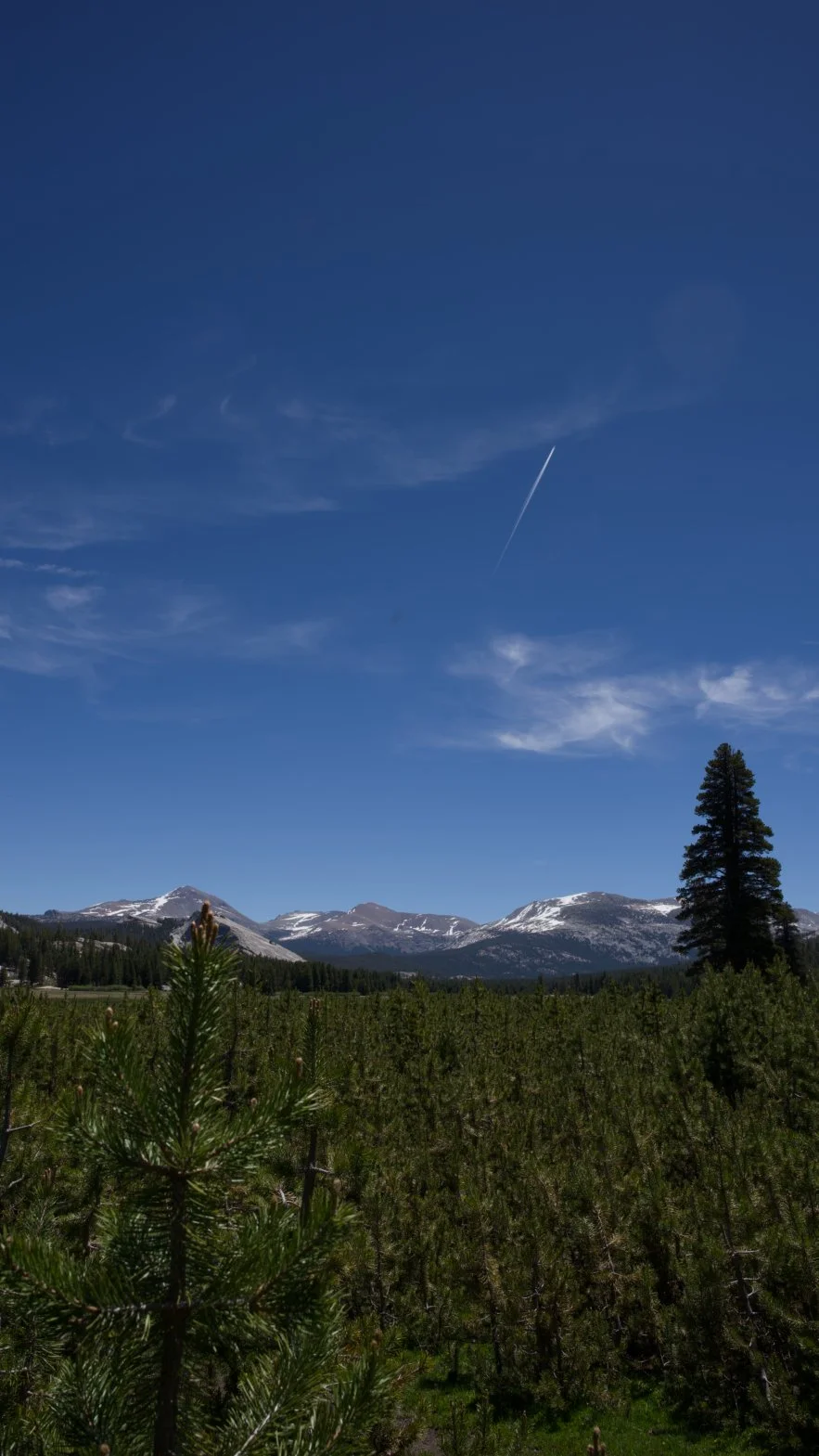 _DSC3200.jpg