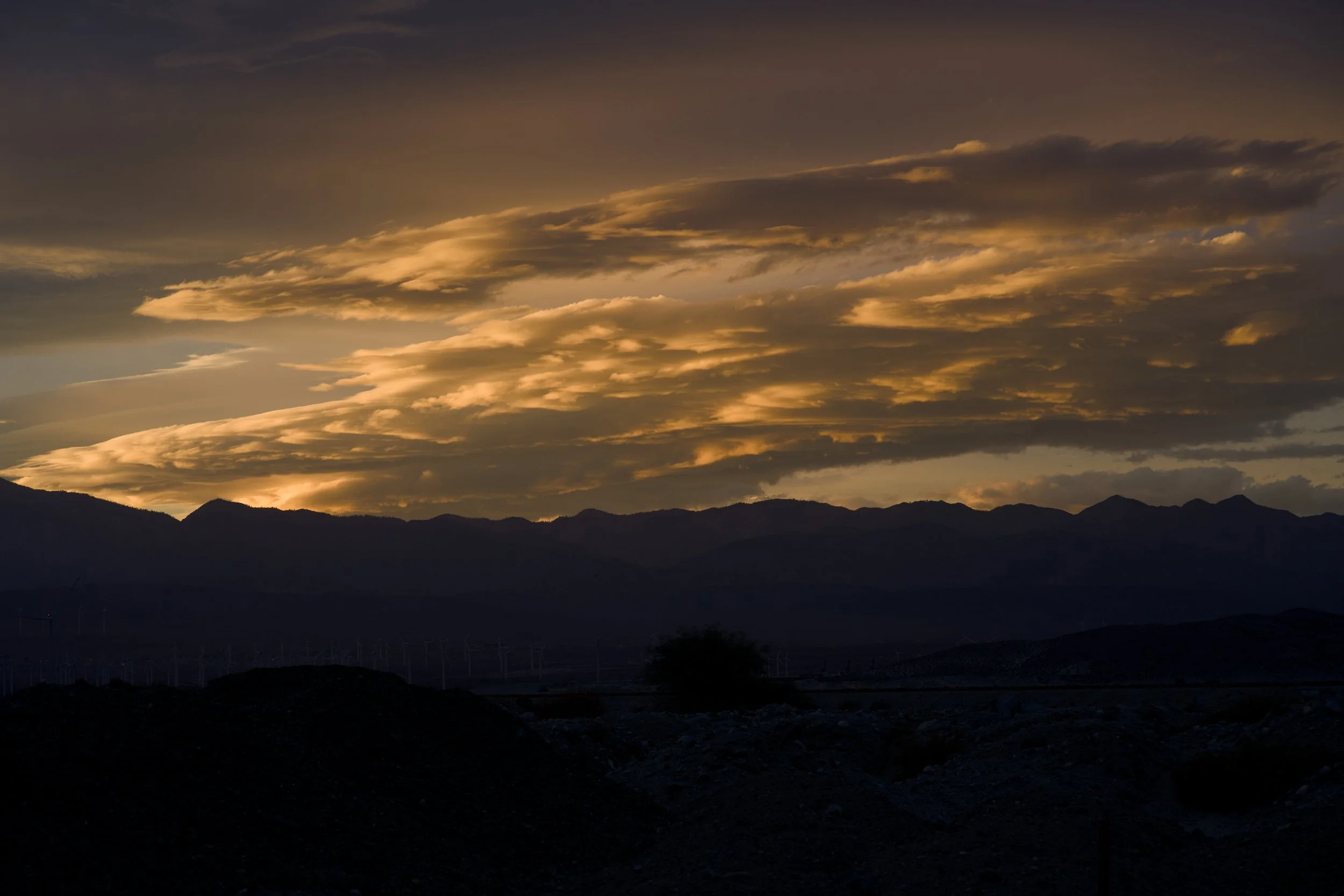 _DSC4145.jpg