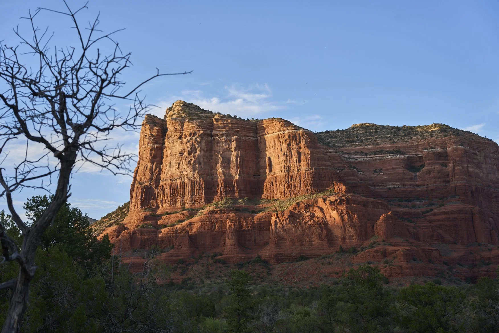 Grand Canyon, Bryce, Zion, Red Canyon - 2025