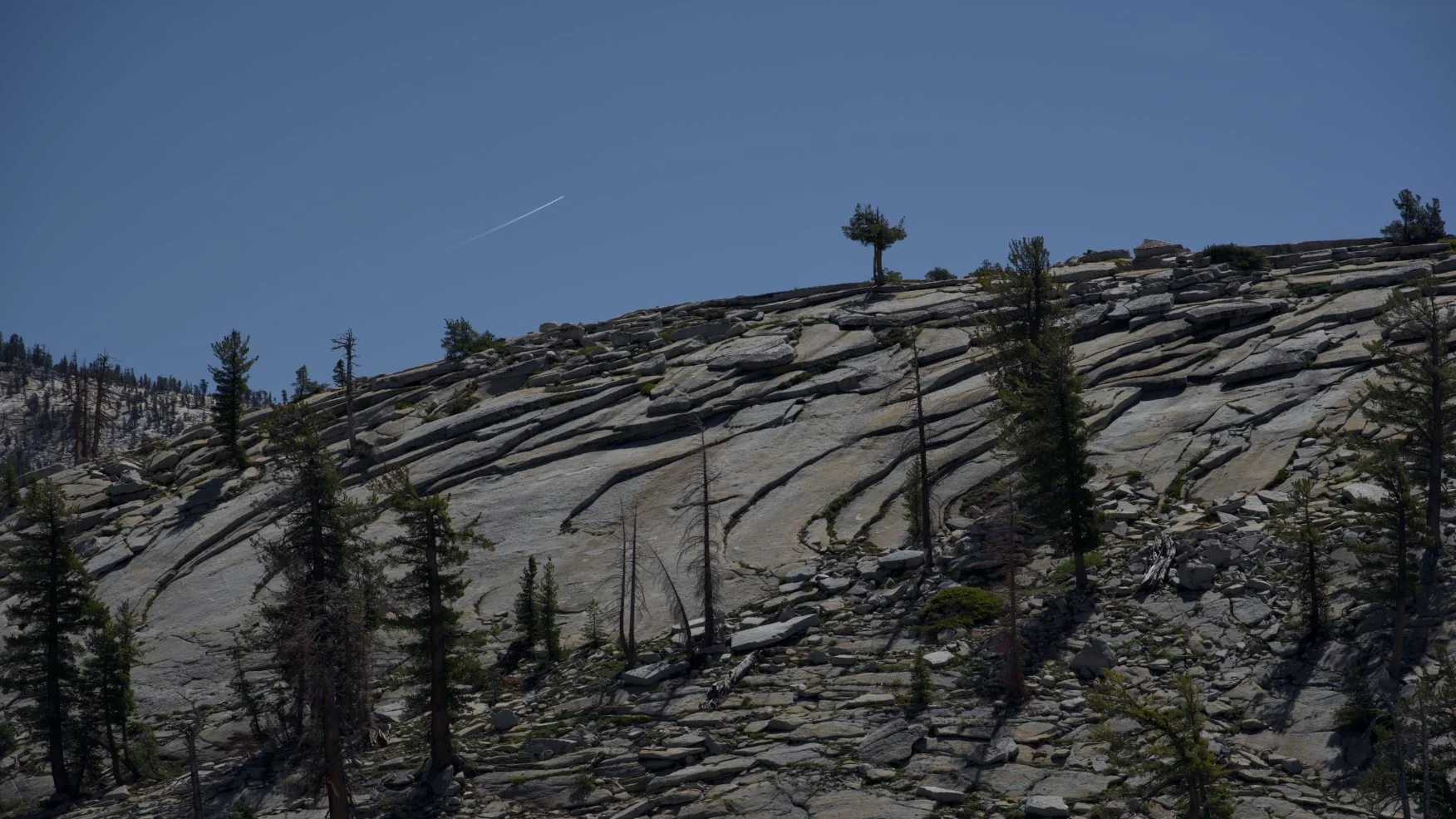 _DSC3113.jpg