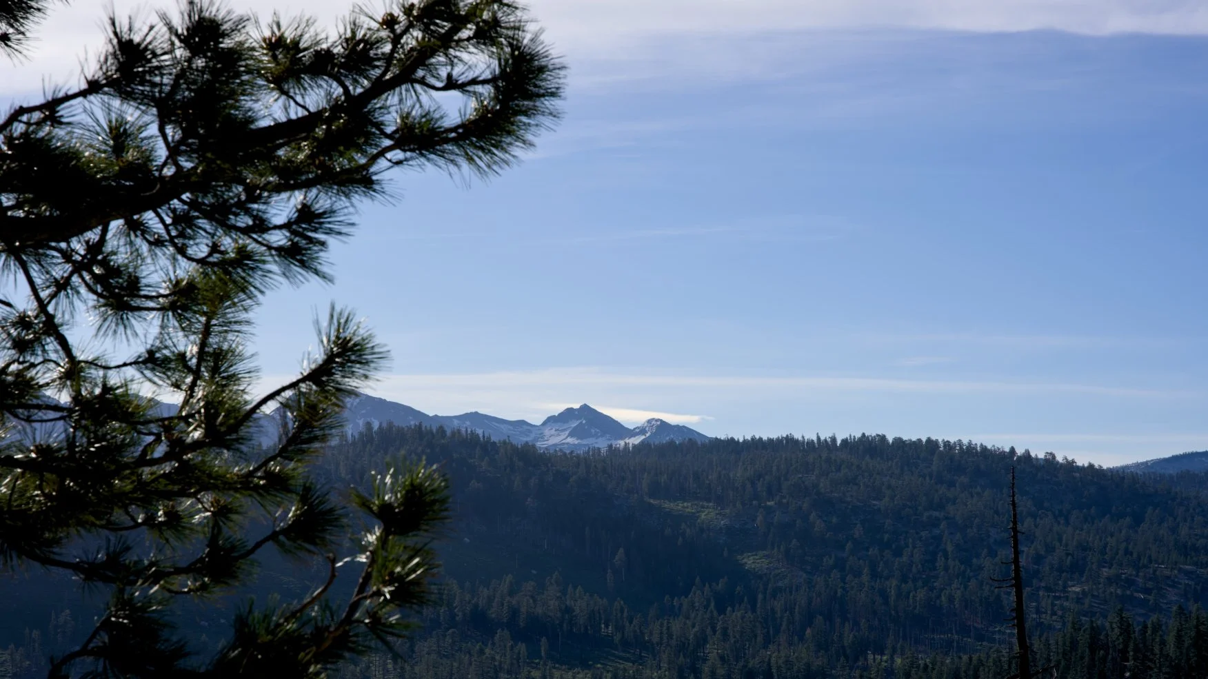_DSC2624.jpg