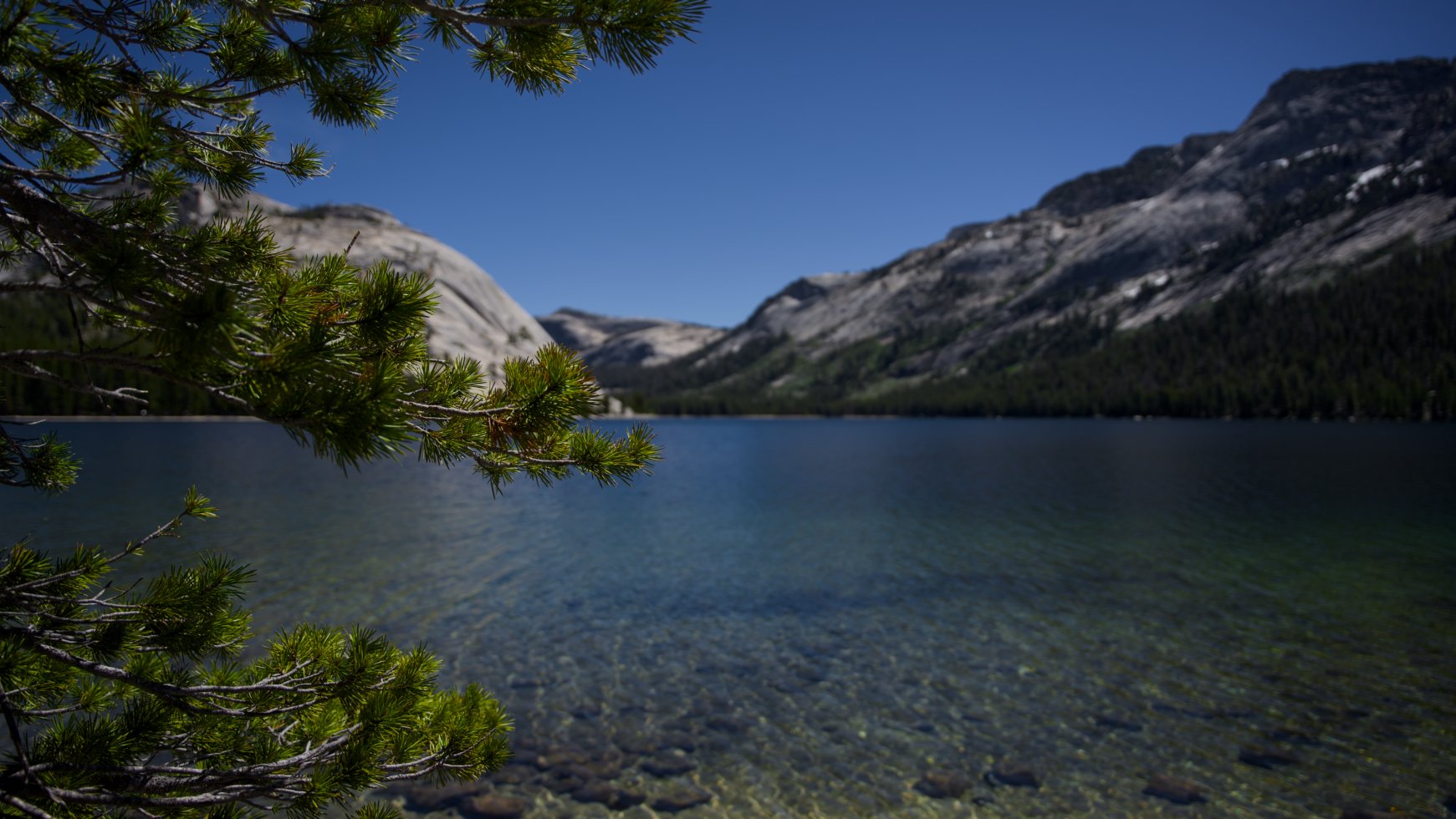 _DSC3180.jpg