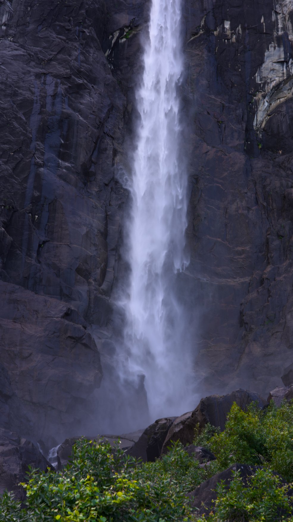 _DSC2964.jpg