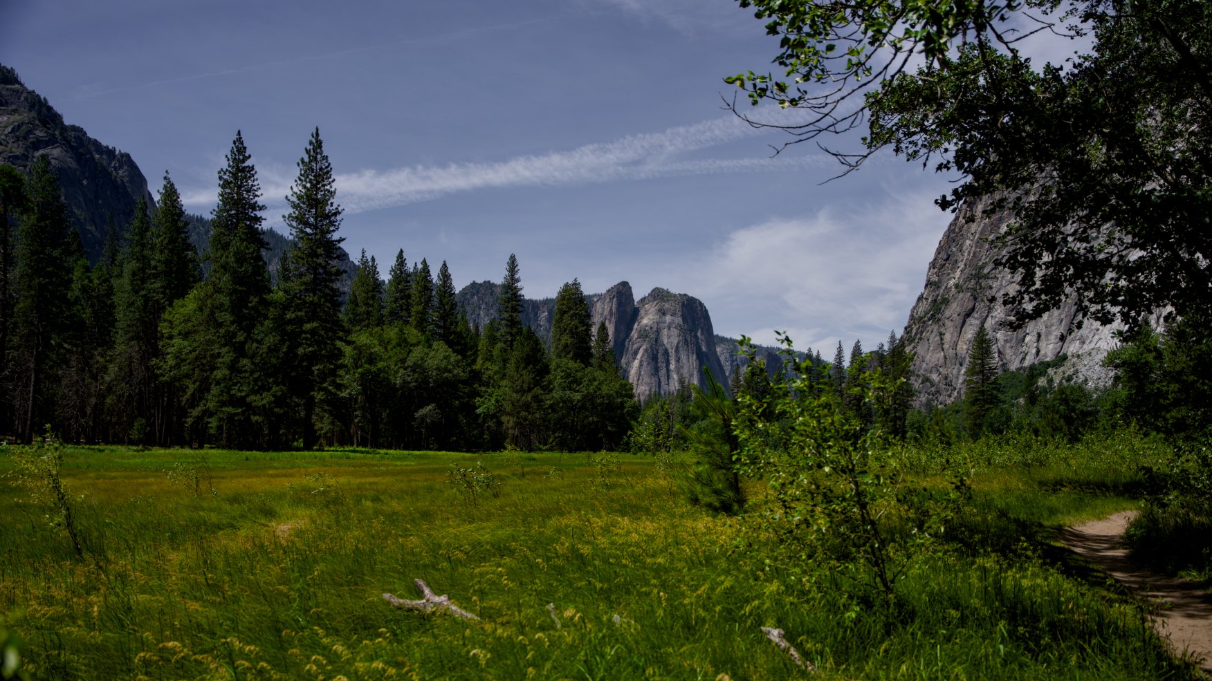 _DSC2869.jpg