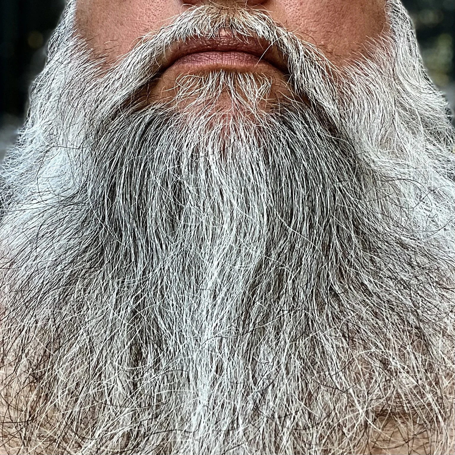 The Hirsute Face - What is it about a great-looking beard? Facial hair is such an appeal to so many. Click on the picture above to view some of my favorite follicles.  