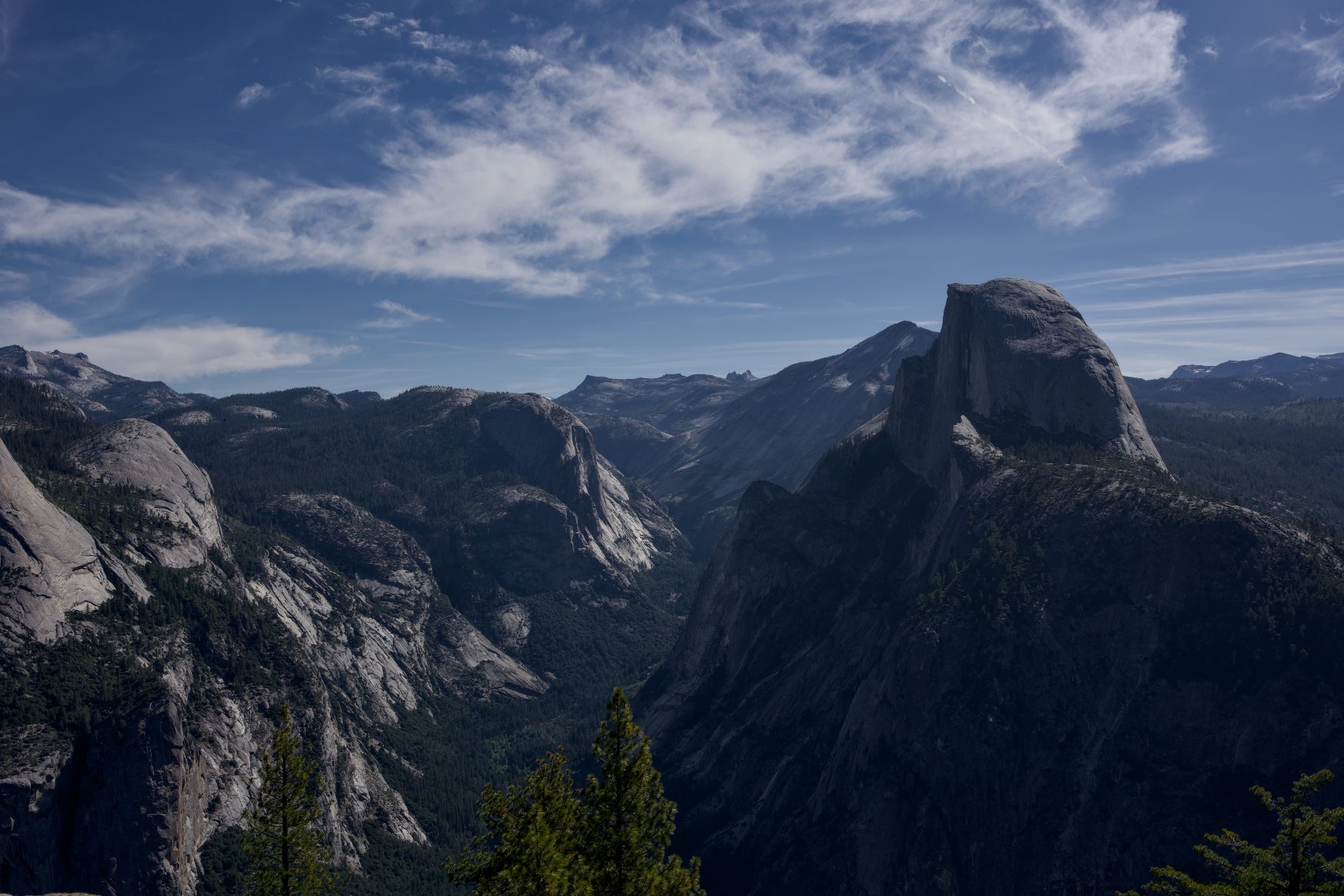 _DSC2704.jpg