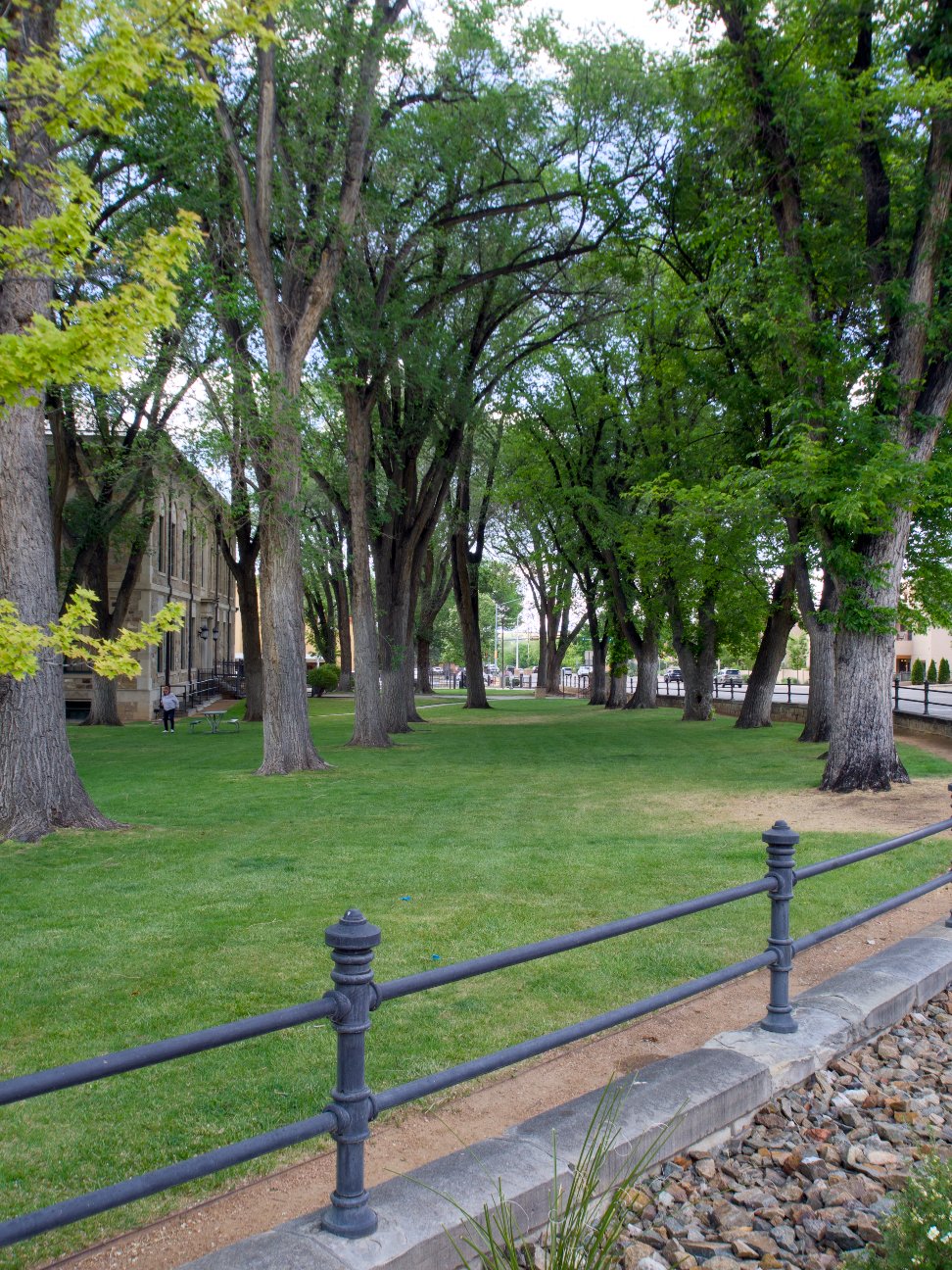 _5270239.jpg