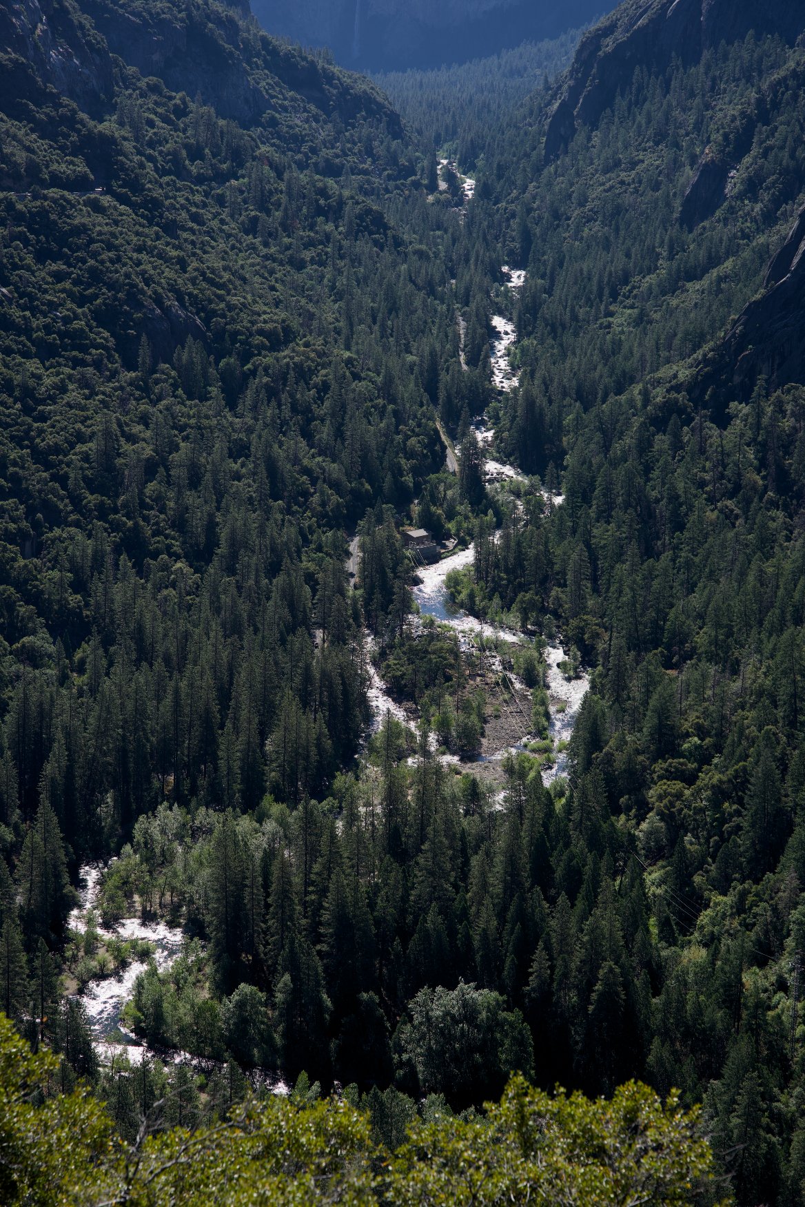_DSC3056.jpg