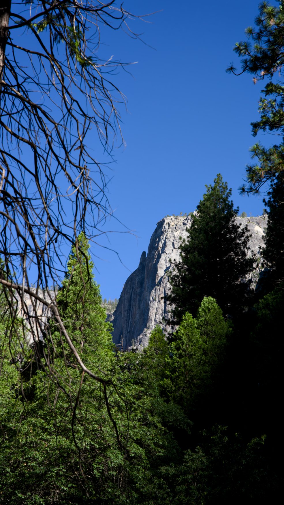 _DSC3018.jpg